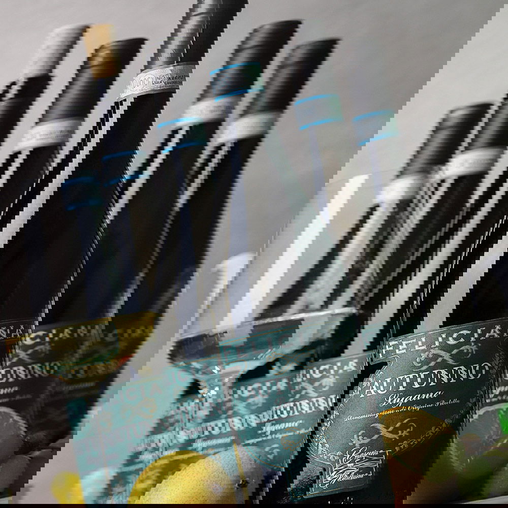 6er-Sparpaket Lugana 2023 Autunno