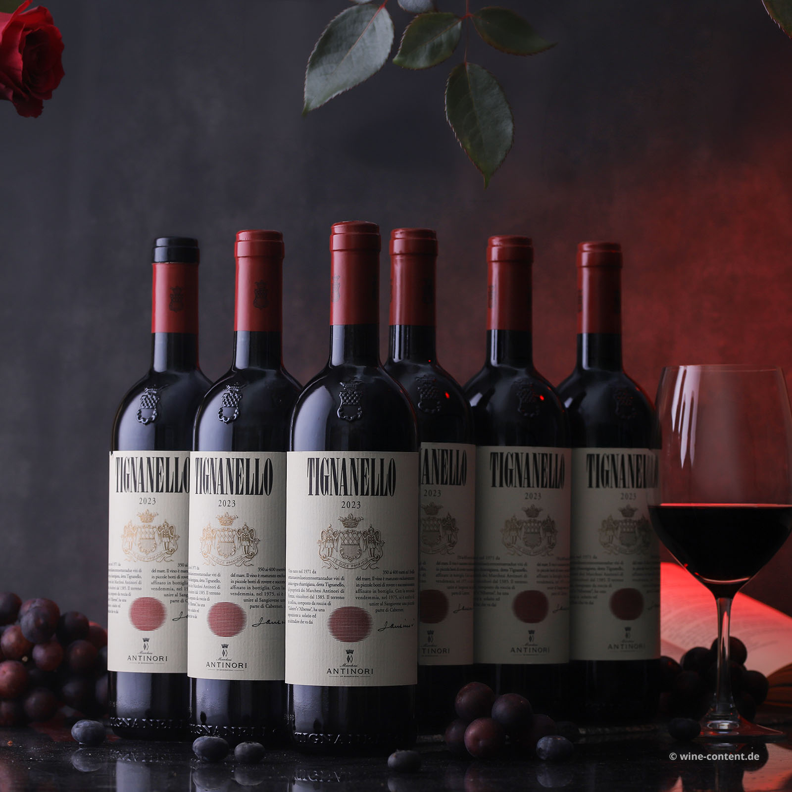 6er-Sparpaket Tignanello 2023