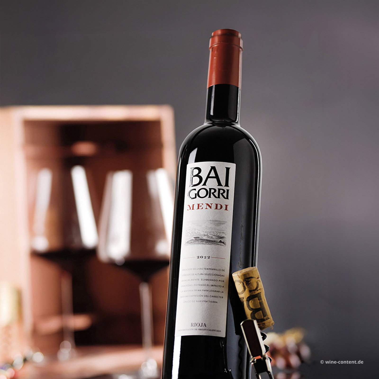 Rioja Crianza 2022 Mendi