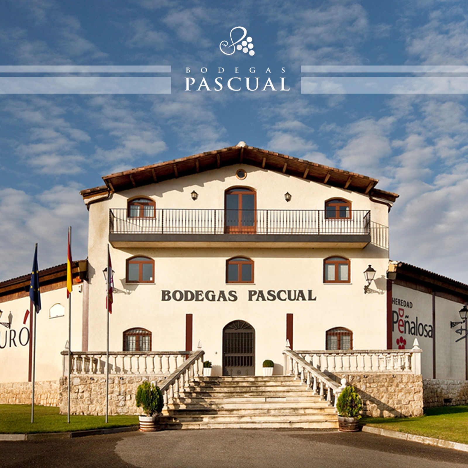 Tempranillo Crianza 2019 Peñalosa