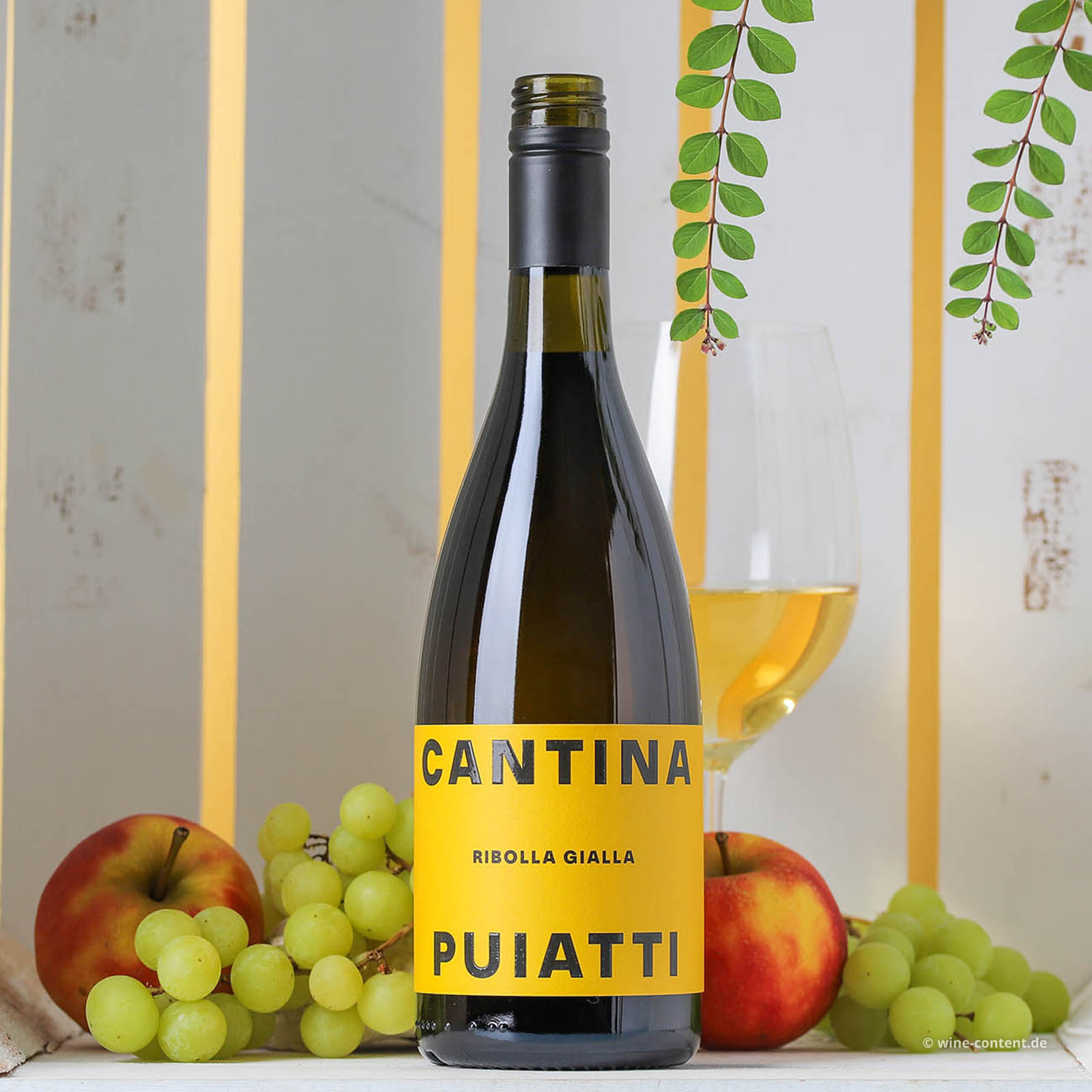 Ribolla Gialla 2025