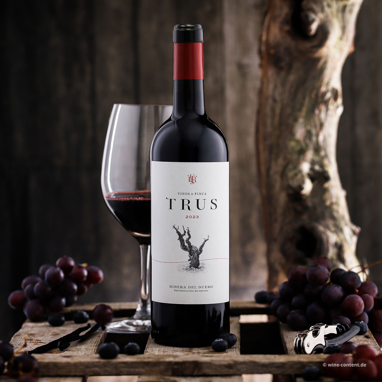 Tempranillo 2023 Roble Tempranillo 2023 Roble