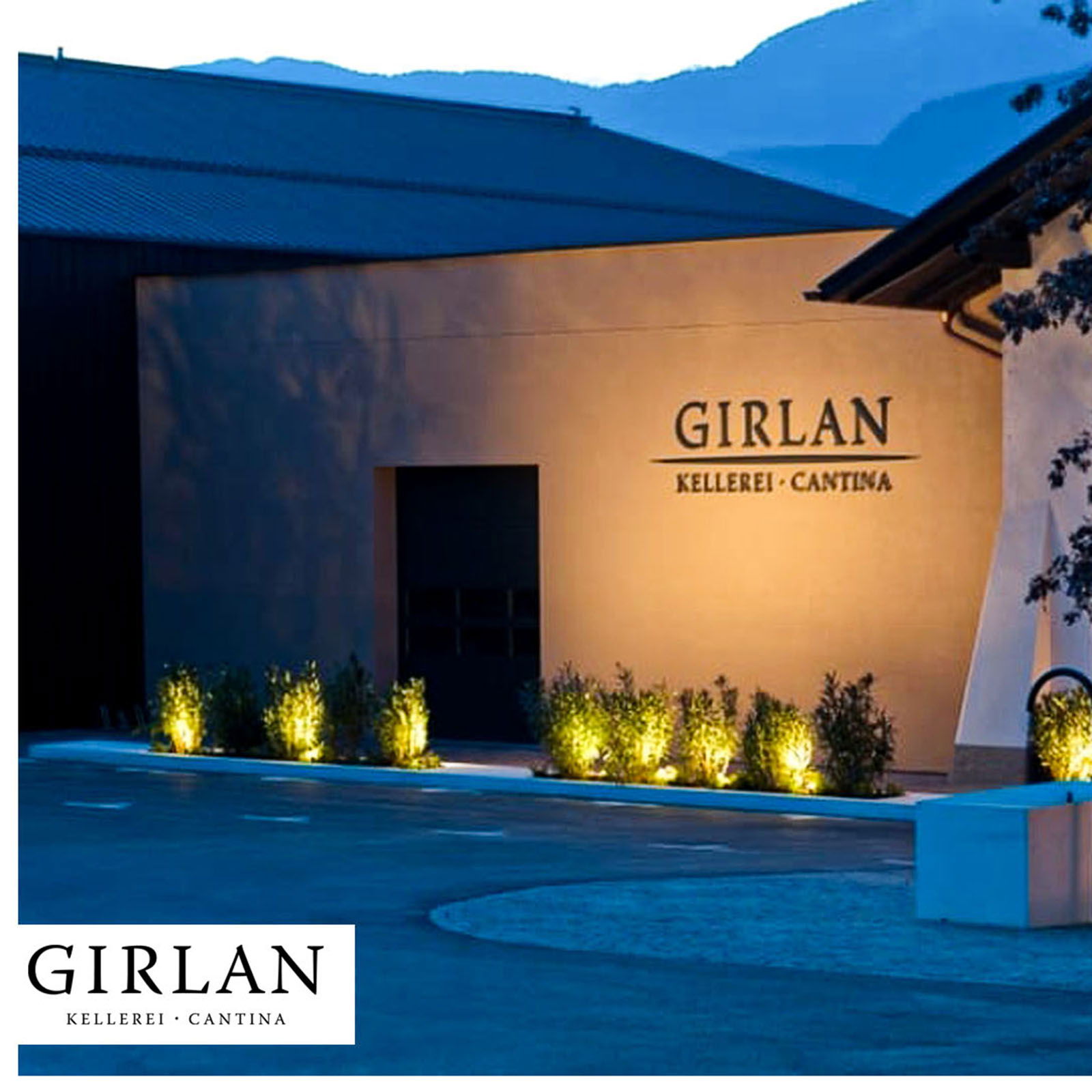 Pinot Noir Riserva 2020 Curlan