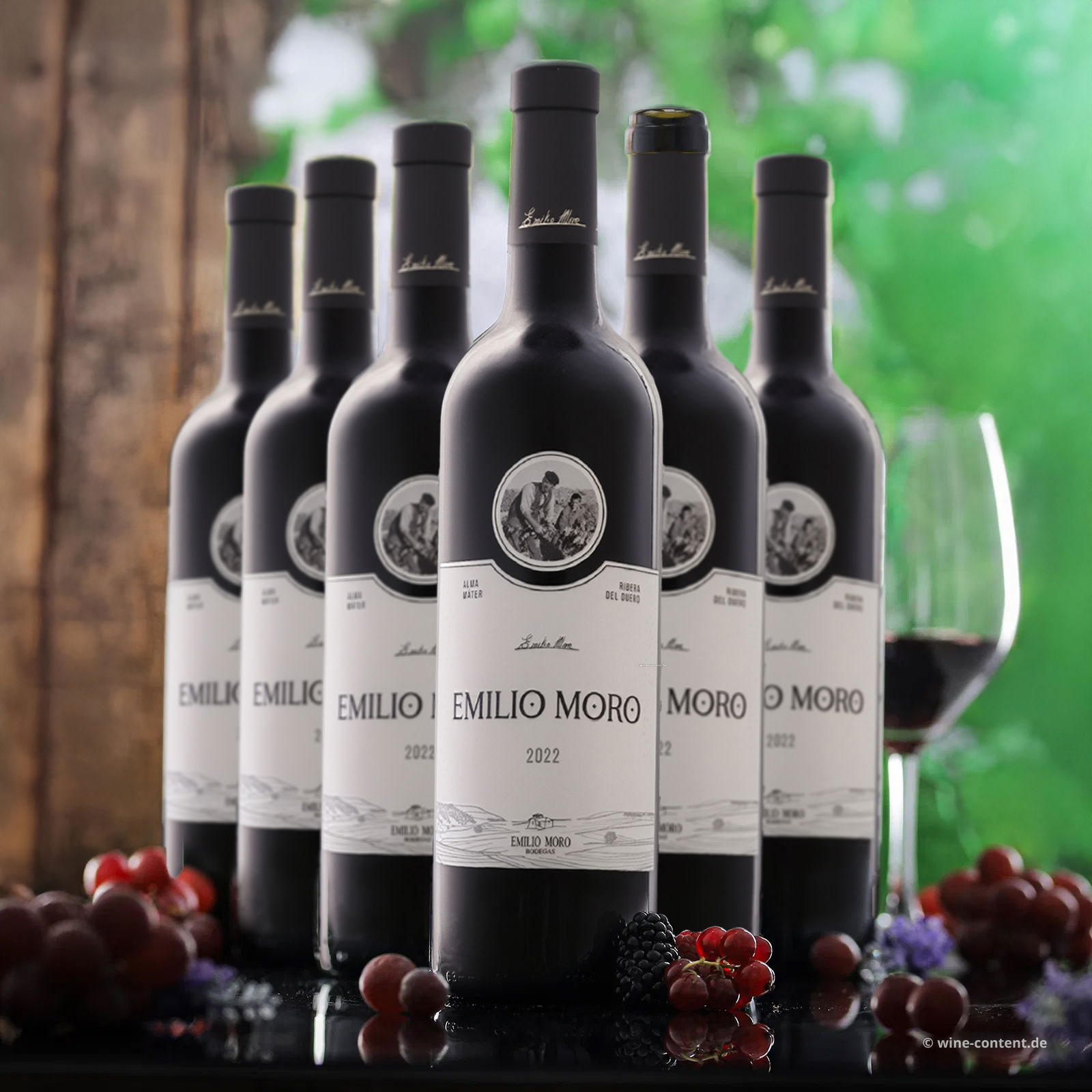 6er-Sparpaket Tempranillo 2022 Emilio Moro