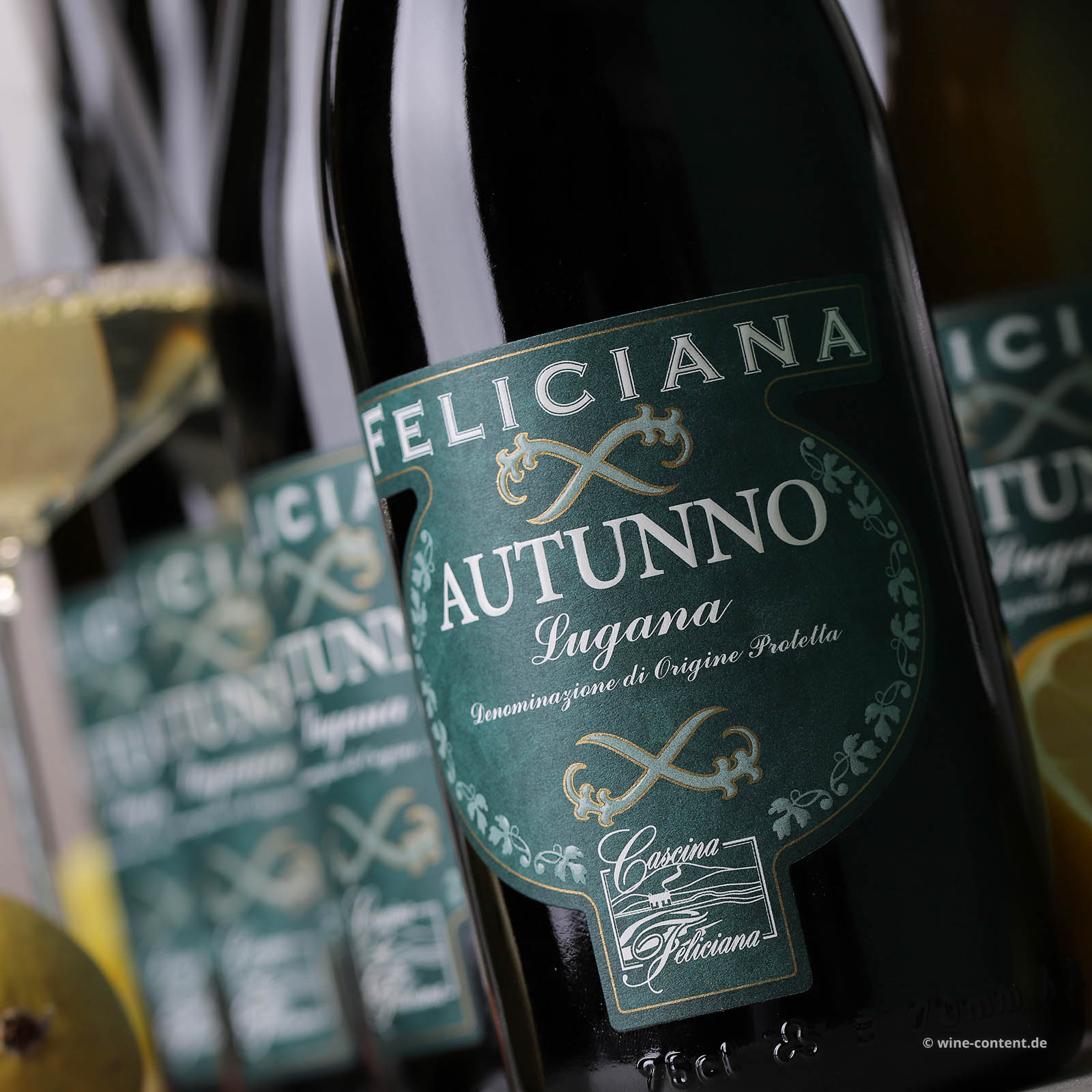 6er-Sparpaket Lugana 2023 Autunno