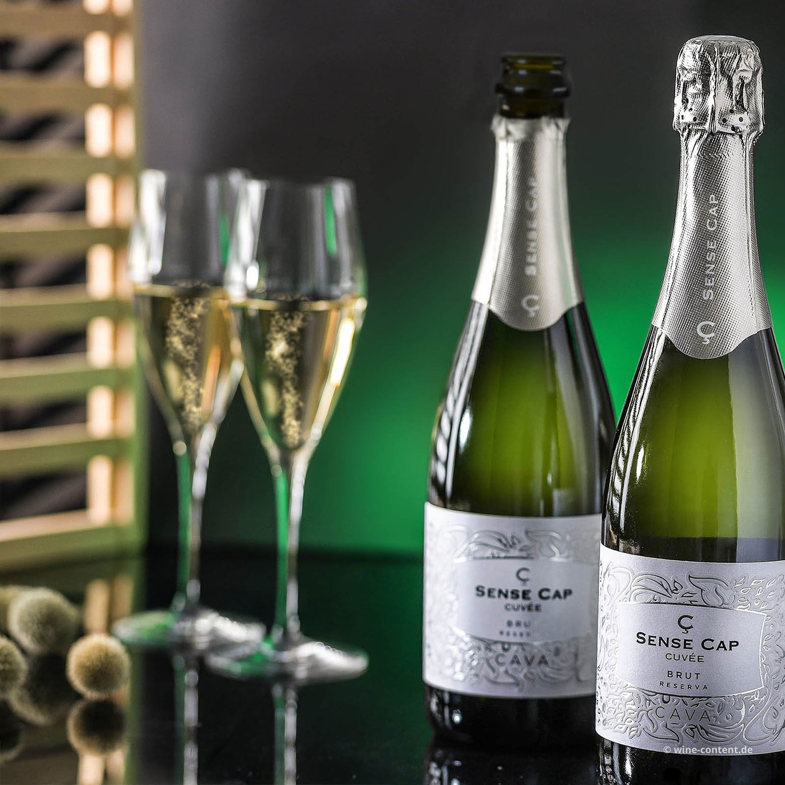 Cava Reserva 2021 Sense Cap Brut Bio