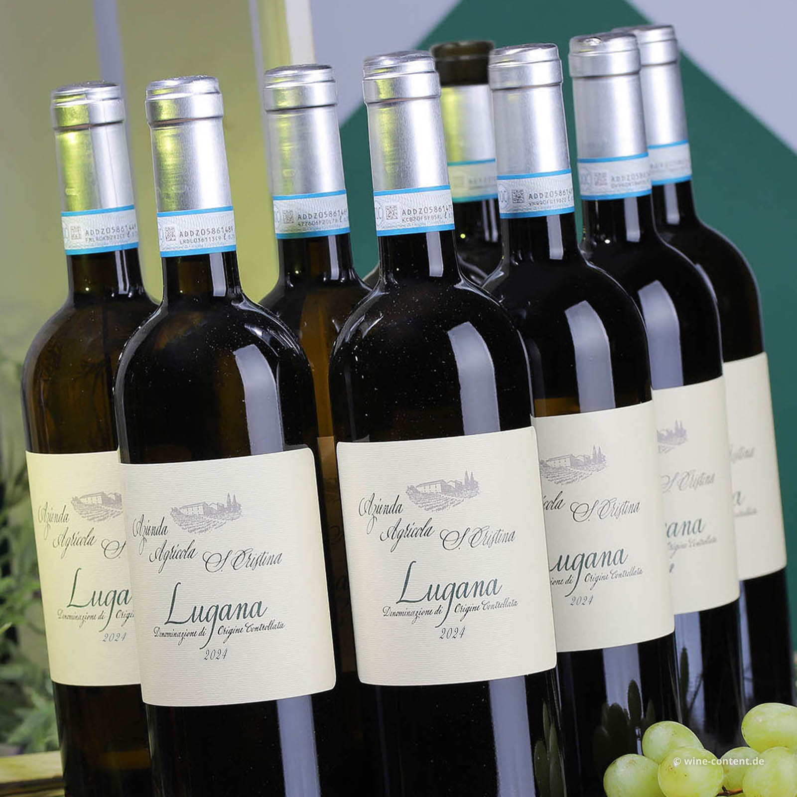 9er-Sparpaket Lugana 2024 Santa Cristina