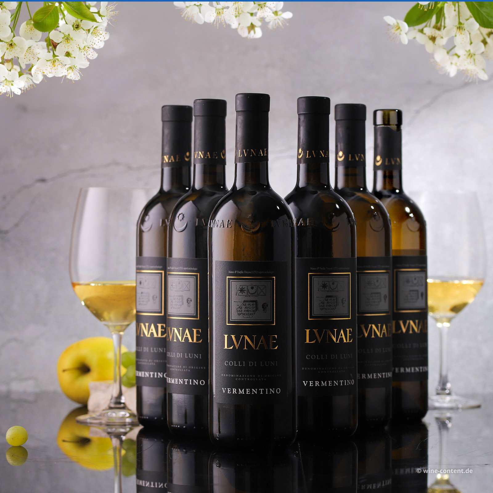 6er-Sparpaket Vermentino Colli di Luni 2025 Etichetta Nera