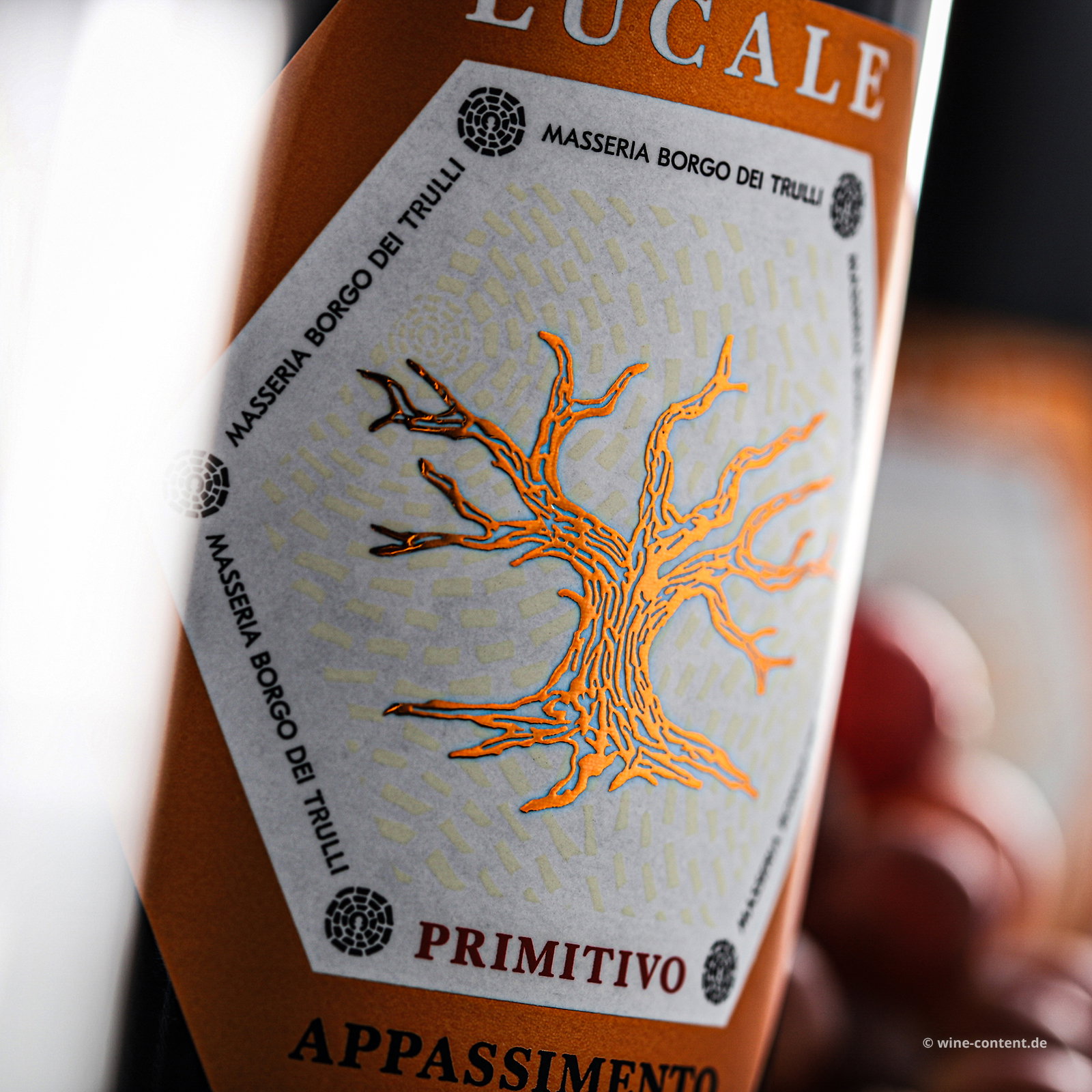 6er-Sparpaket Primitivo Appassimento 2024 Lucale