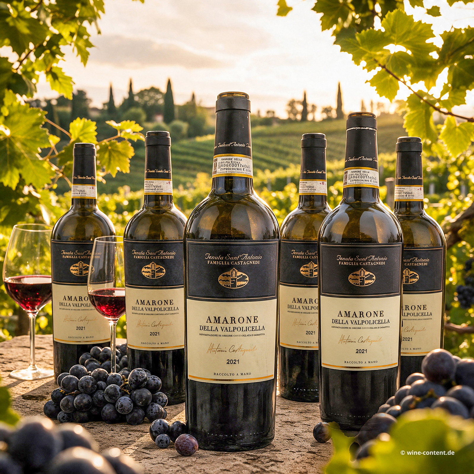 6er-Sparpaket Amarone 2021 Selezione Antonio Castagnedi
