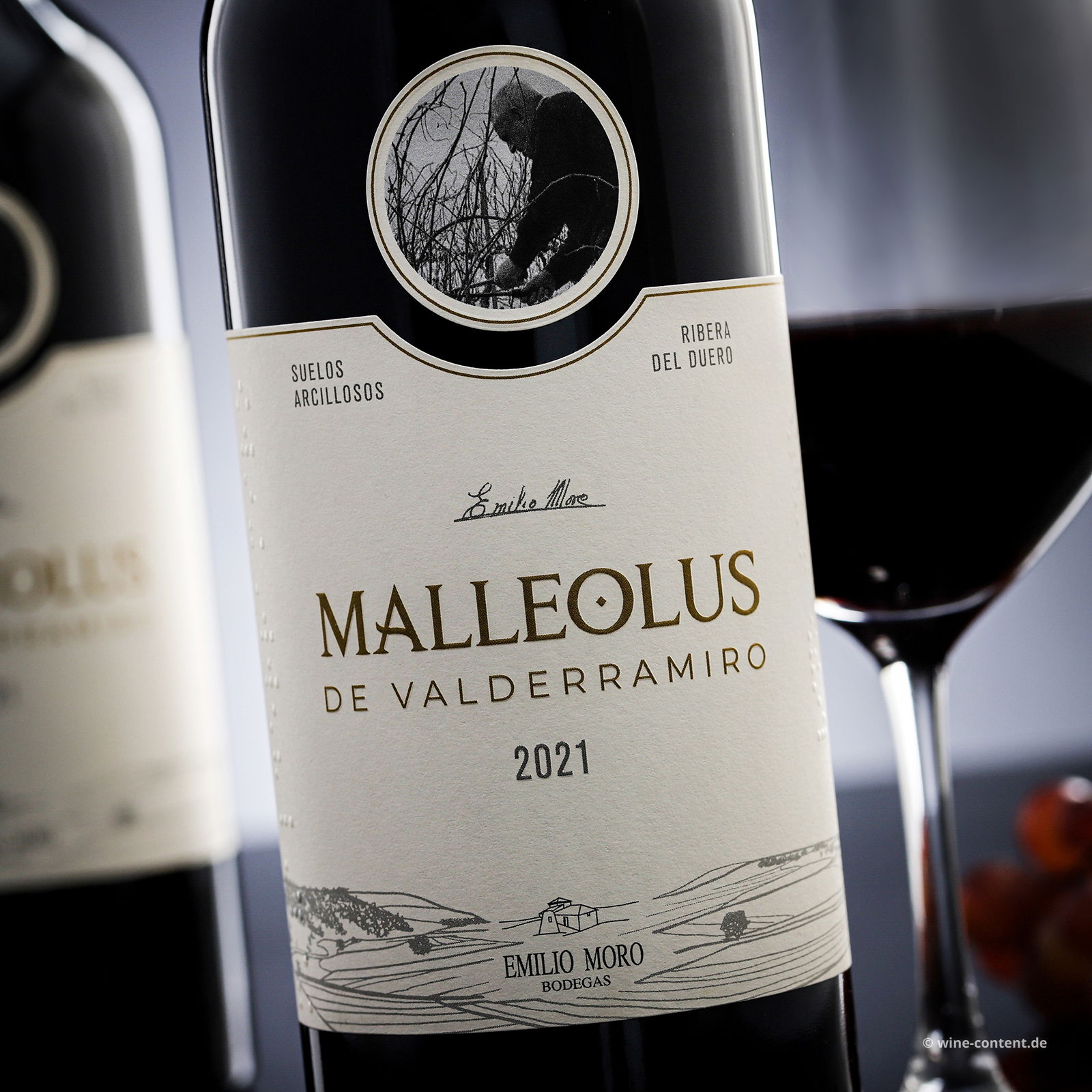 Malleolus de Valderramiro 2021