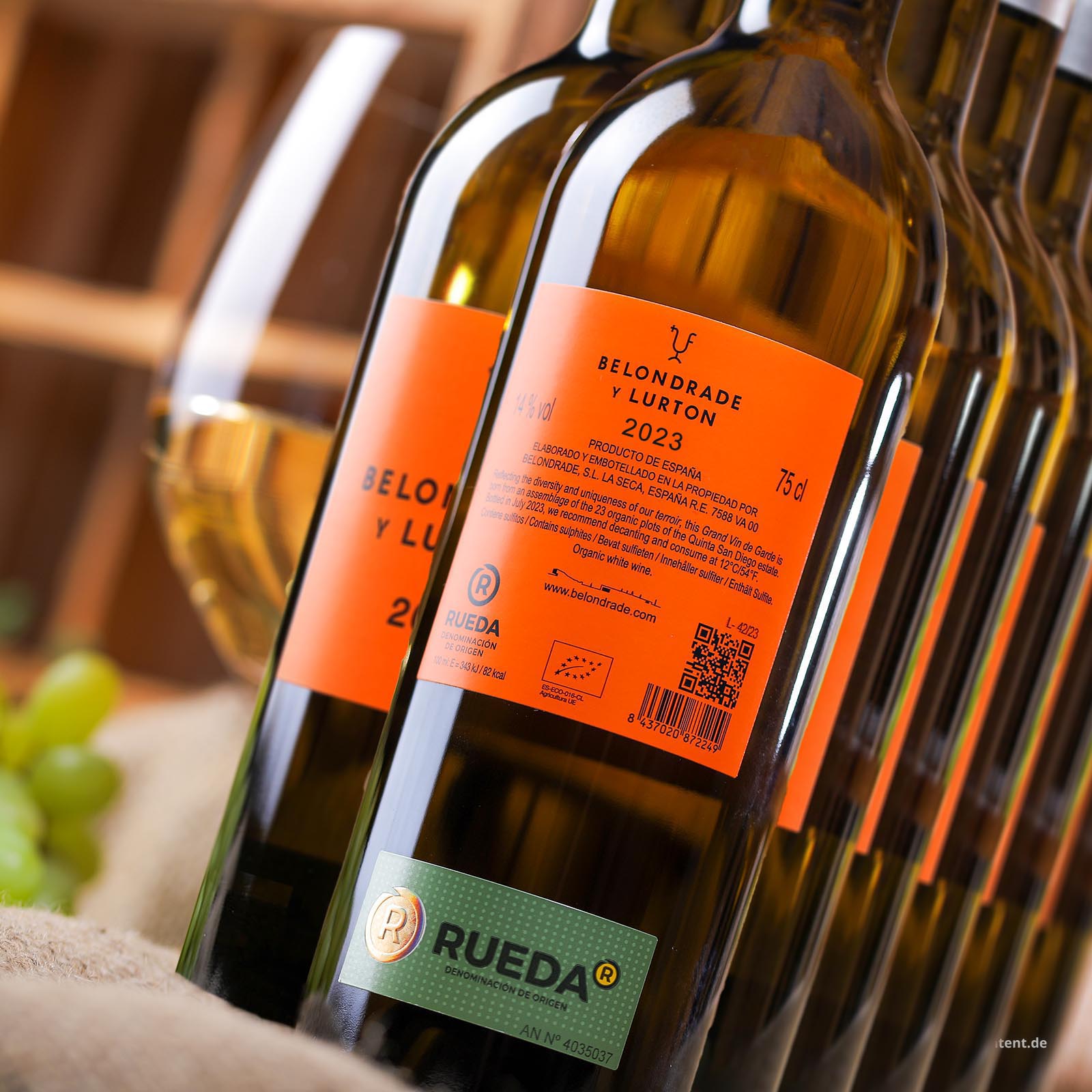 6er-Sparpaket Verdejo 2023 Belondrade y Lurton Bio