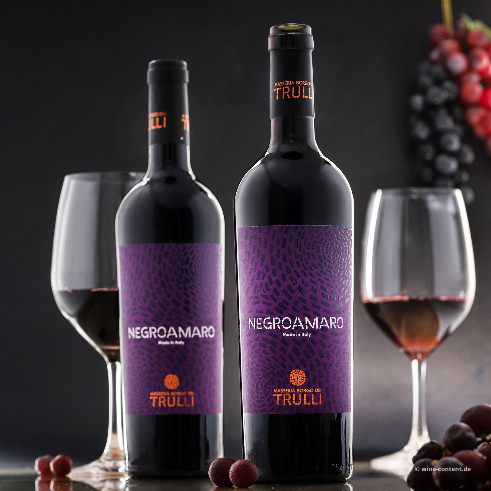 Negroamaro Salento 2025