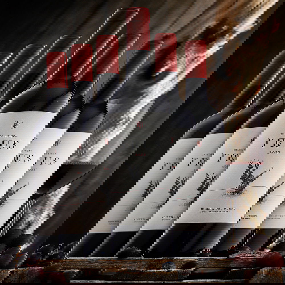 6er-Sparpaket Tempranillo 2023 Roble 6er-Sparpaket Tempranillo 2023 Roble