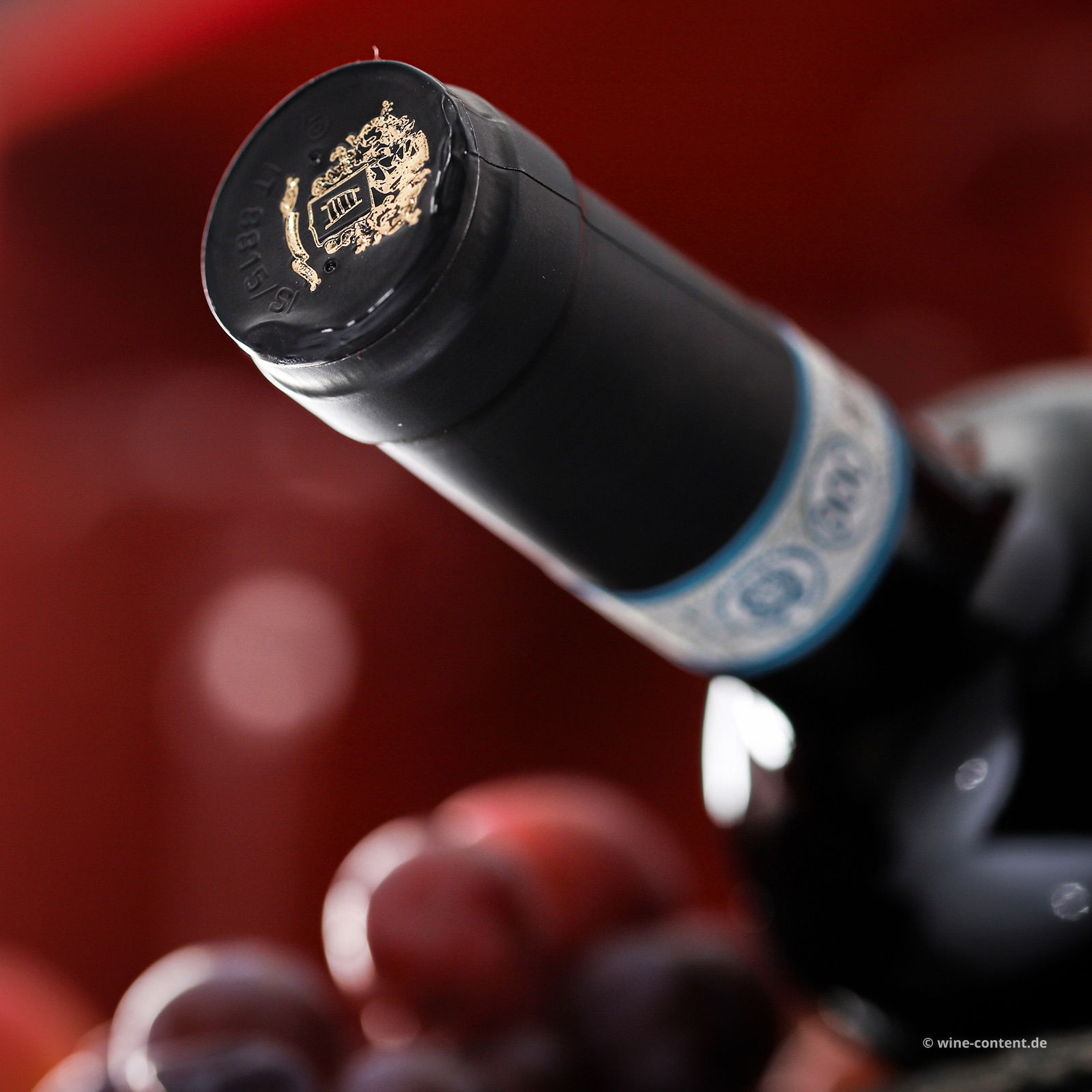 Rosso di Montalcino 2023 Jacopus