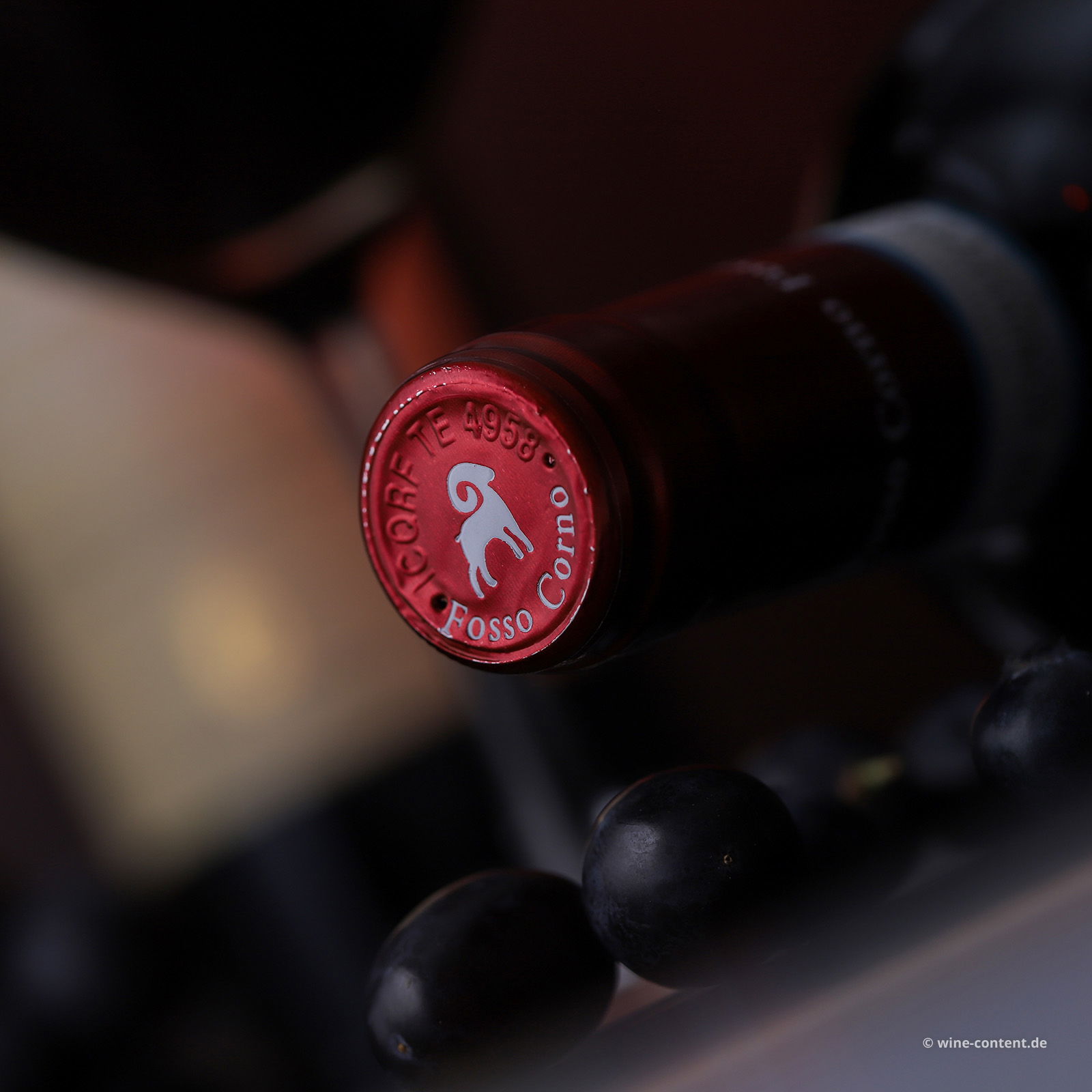 Montepulciano d'Abruzzo 2022 Il Grande Silenzio Montepulciano d'Abruzzo 2022 Il Grande Silenzio