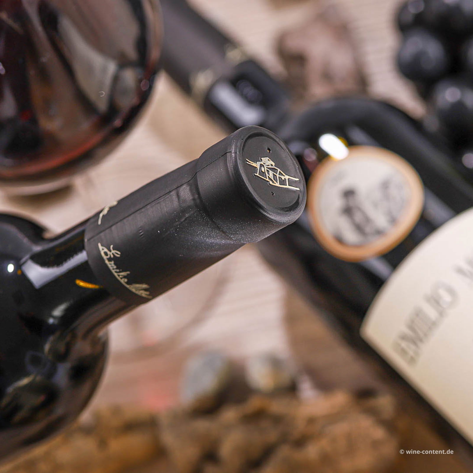 Tempranillo 2022 Emilio Moro