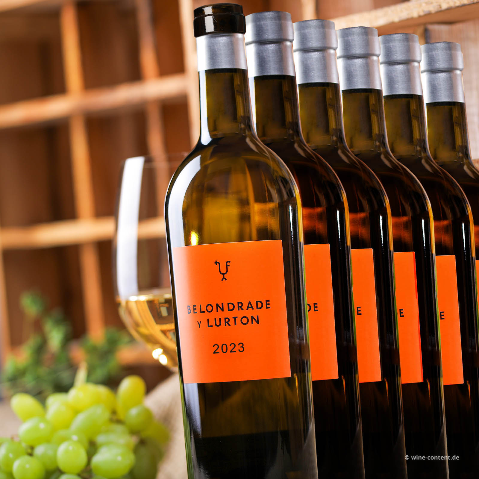 6er-Sparpaket Verdejo 2023 Belondrade y Lurton Bio