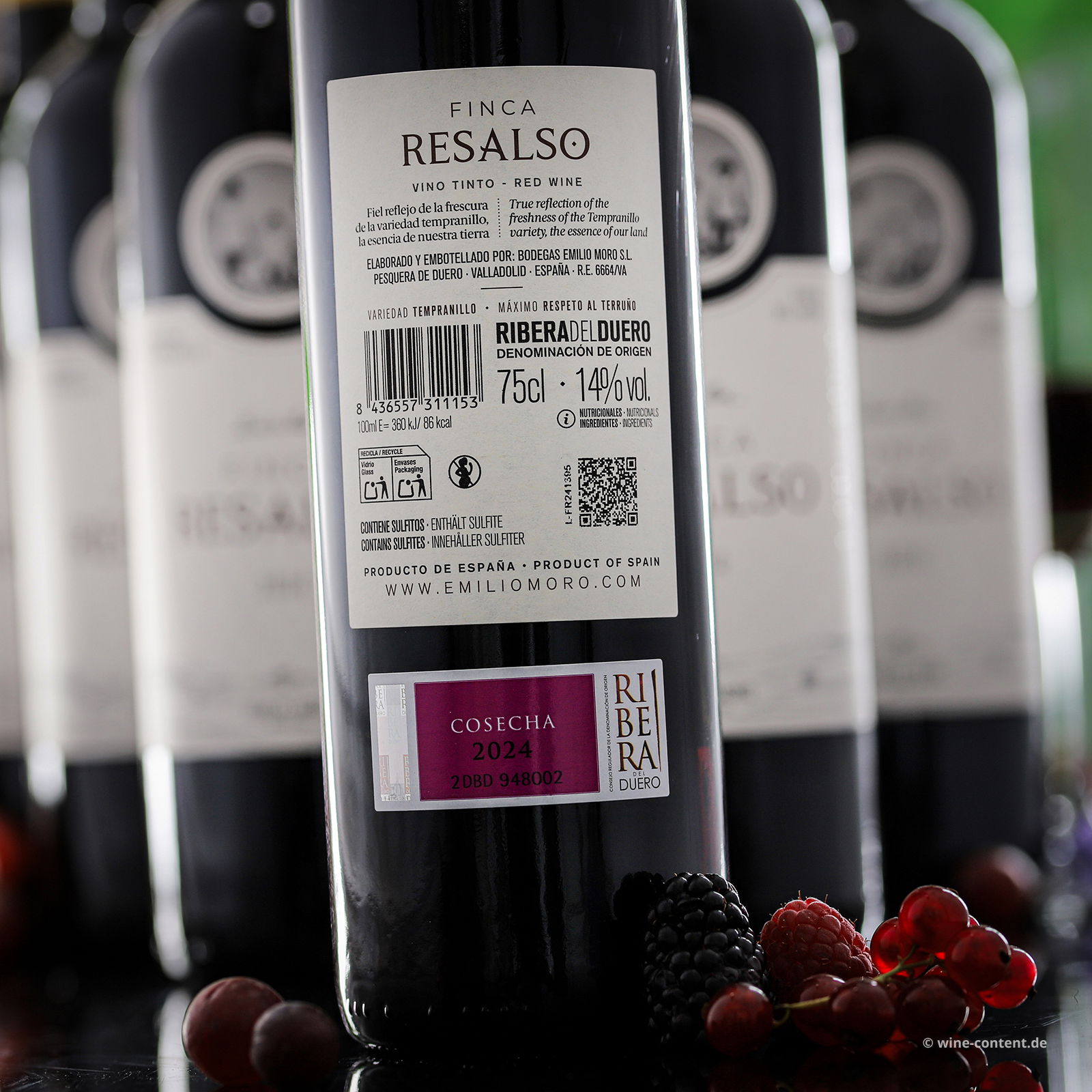 6er-Sparpaket Tempranillo 2024 Finca Resalso