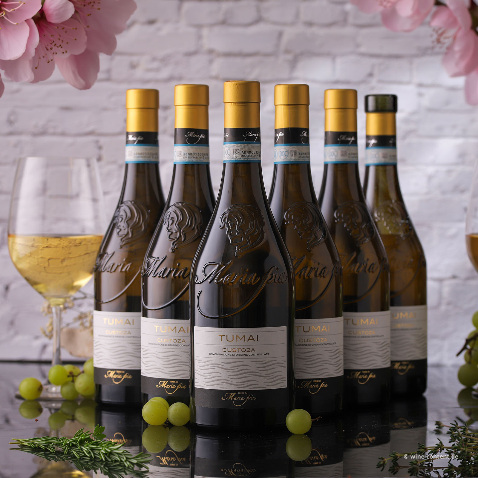 6er-Sparpaket Custoza 2025 Tumai