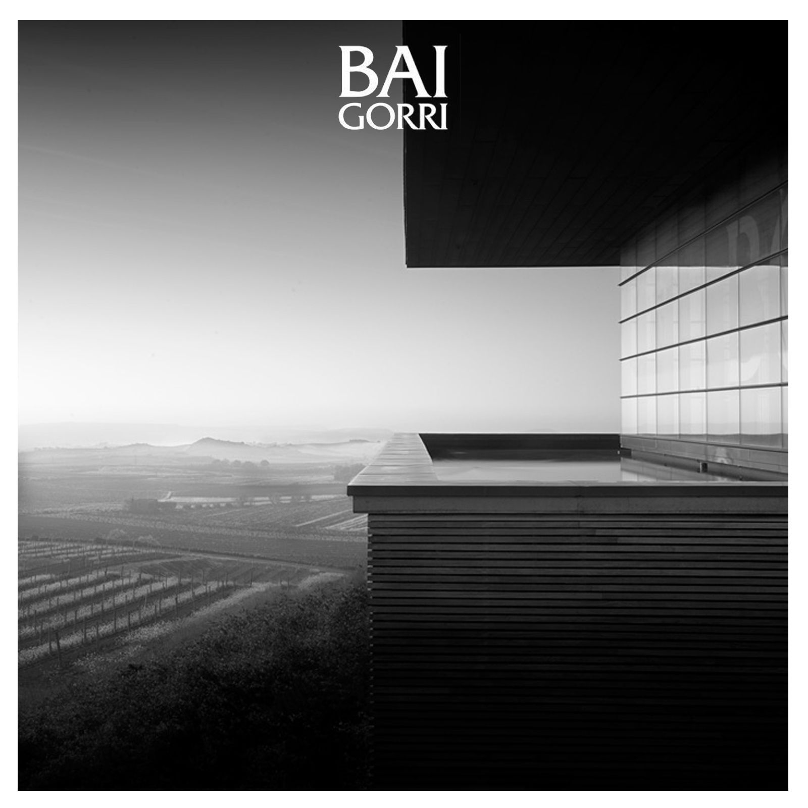 Rioja Crianza 2021 Mendi