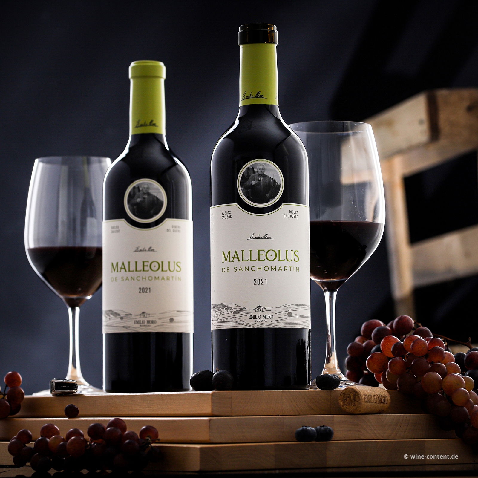 Malleolus de Sanchomartin 2021