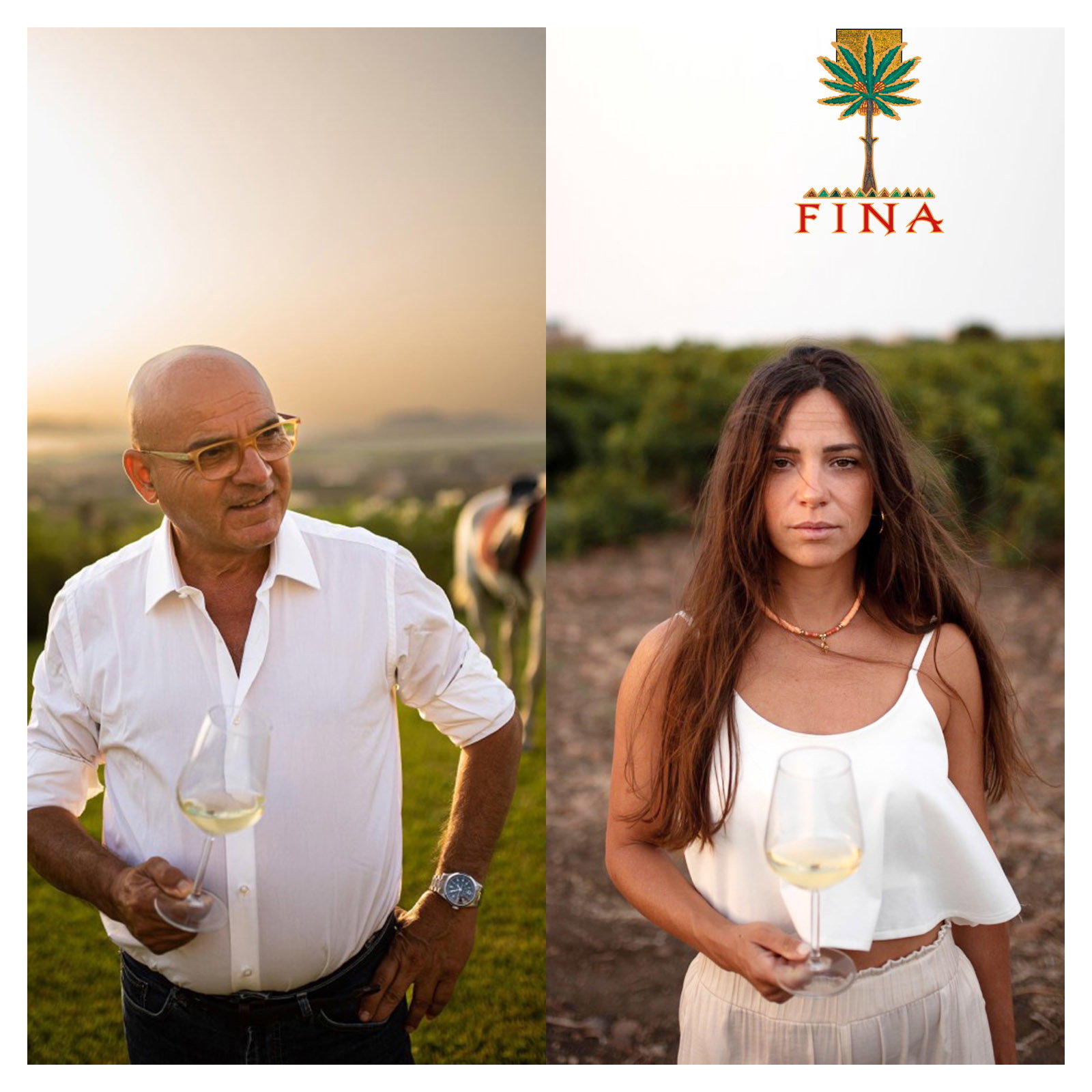 Grillo Sicilia 2025 Kebrilla Bio