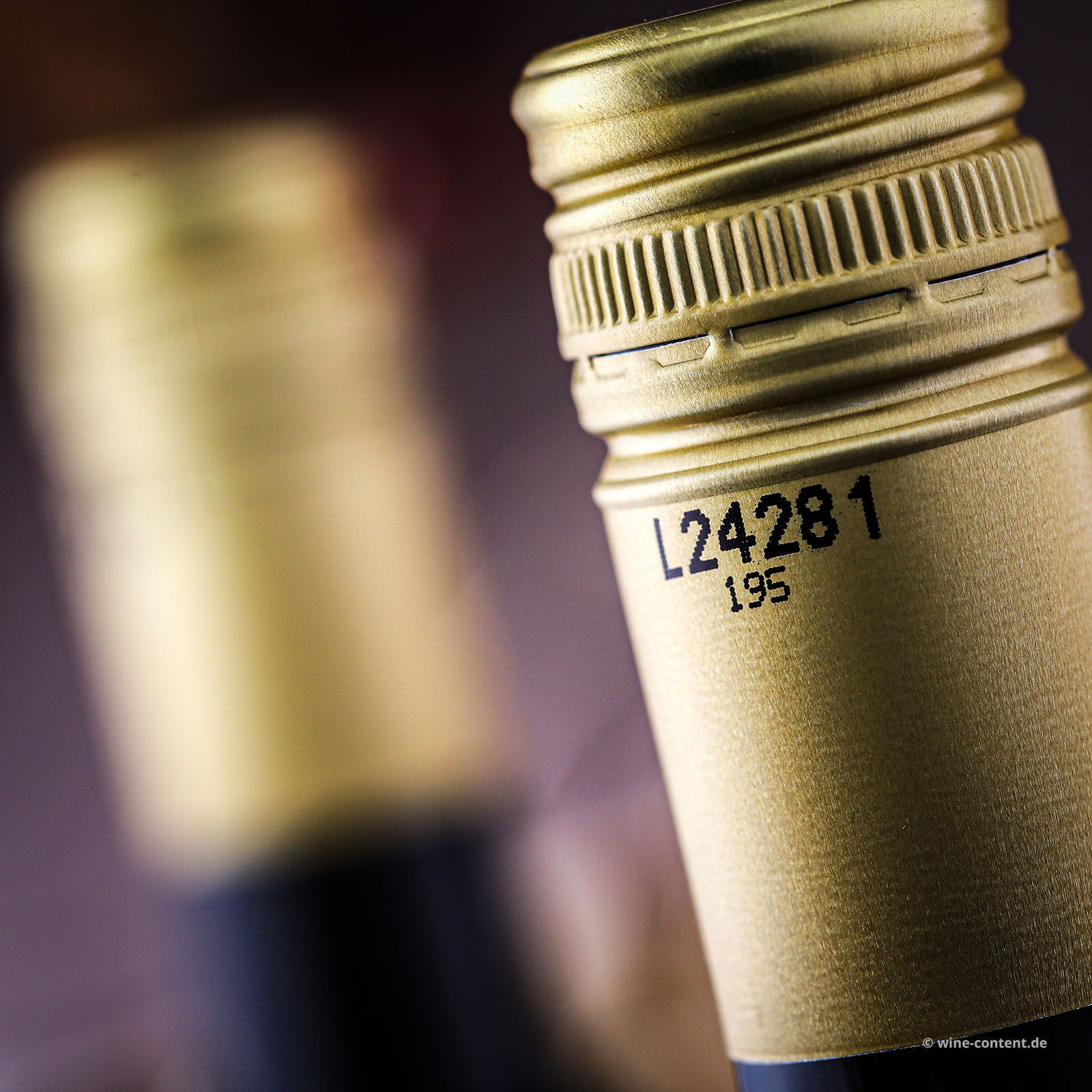 5+1 Sparpaket Shiraz 2023 Hasie