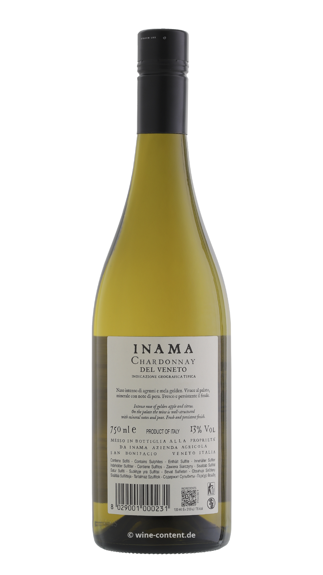 Chardonnay del Veneto 2024 Chardonnay del Veneto 2024