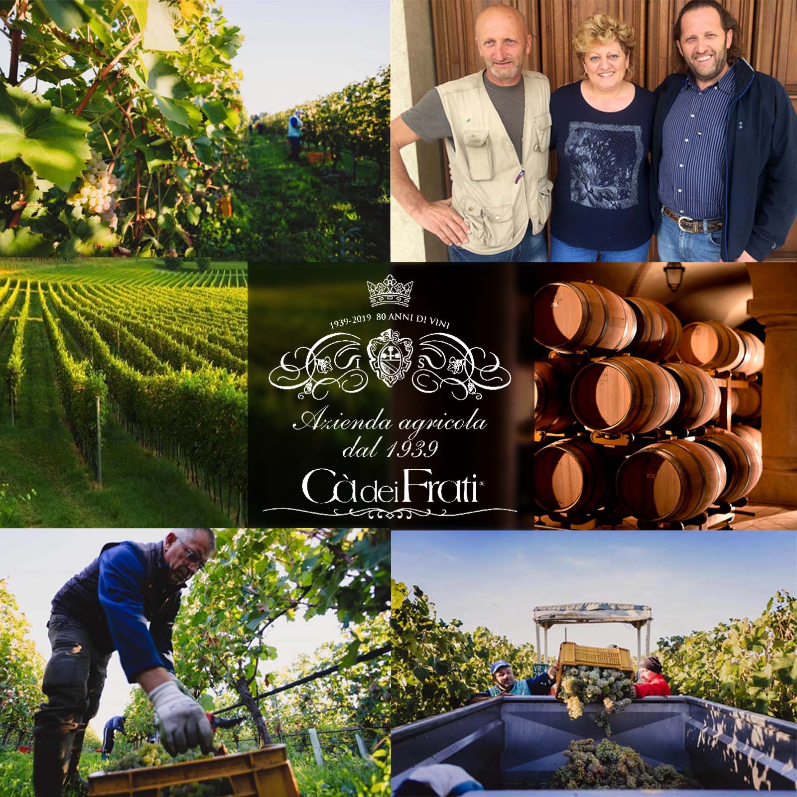 6er-Sparpaket Lugana 2025 I Frati