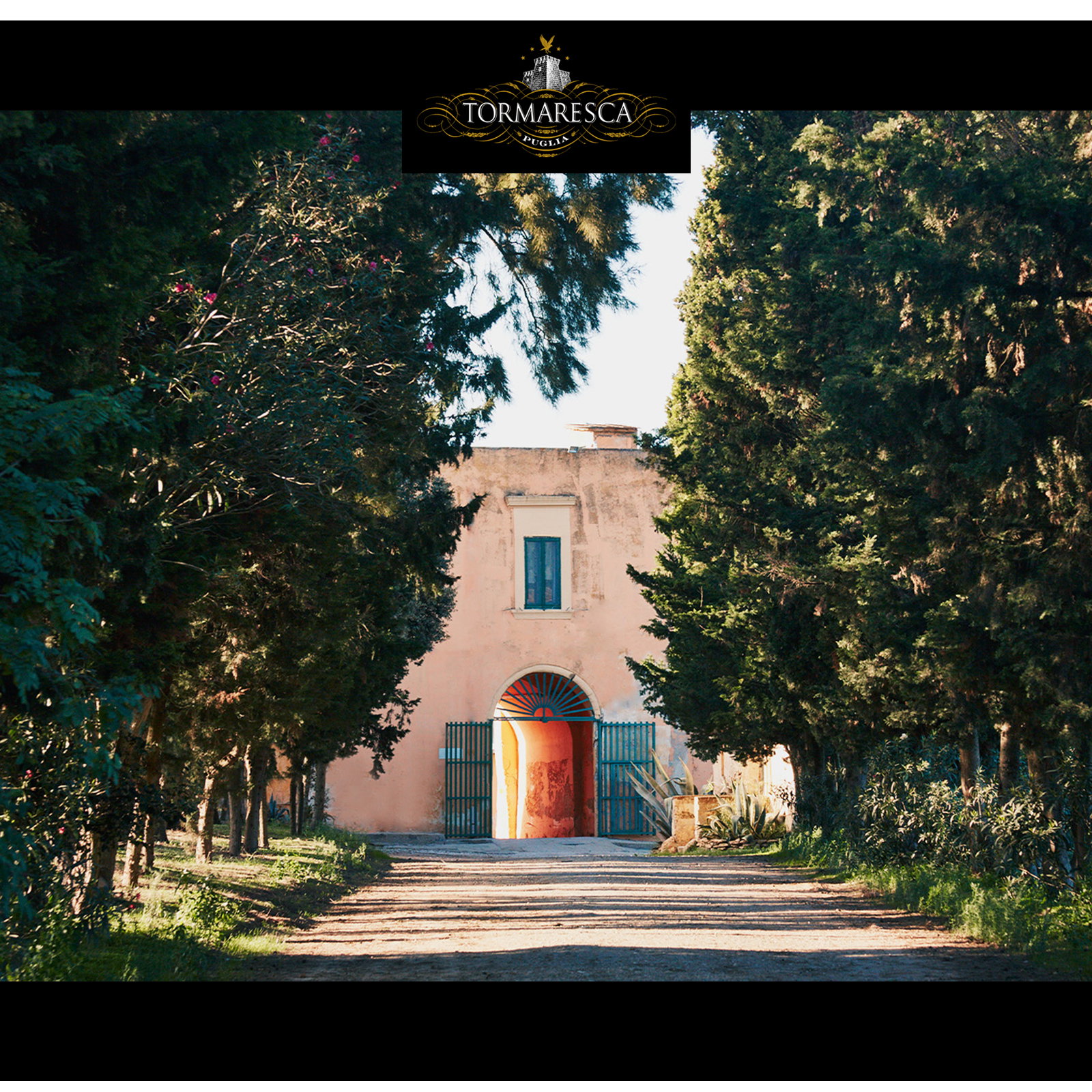 6er-Sparpaket Chardonnay Puglia 2025