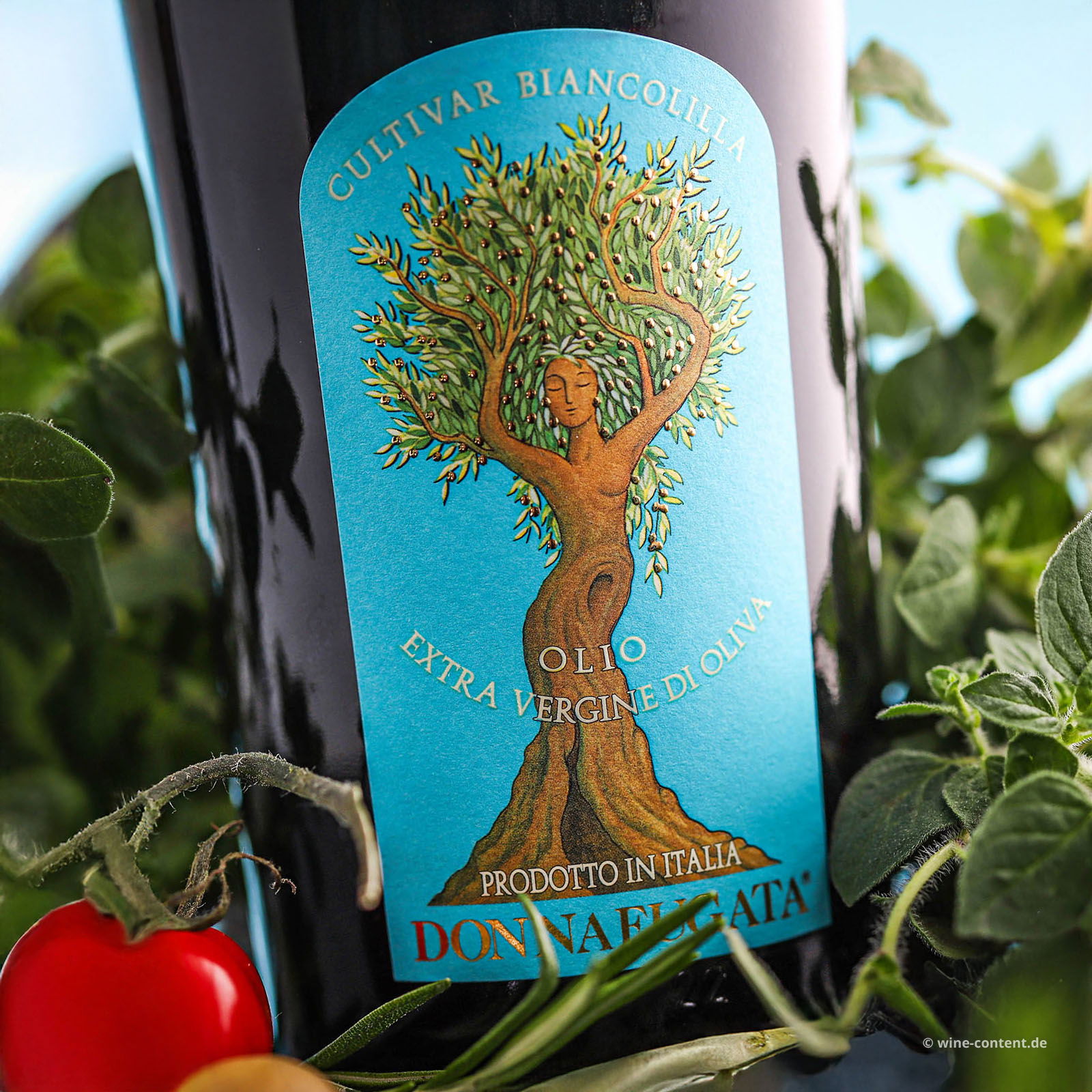 0,5 L Olivenöl Extra Vergine 2025 Biancolilla