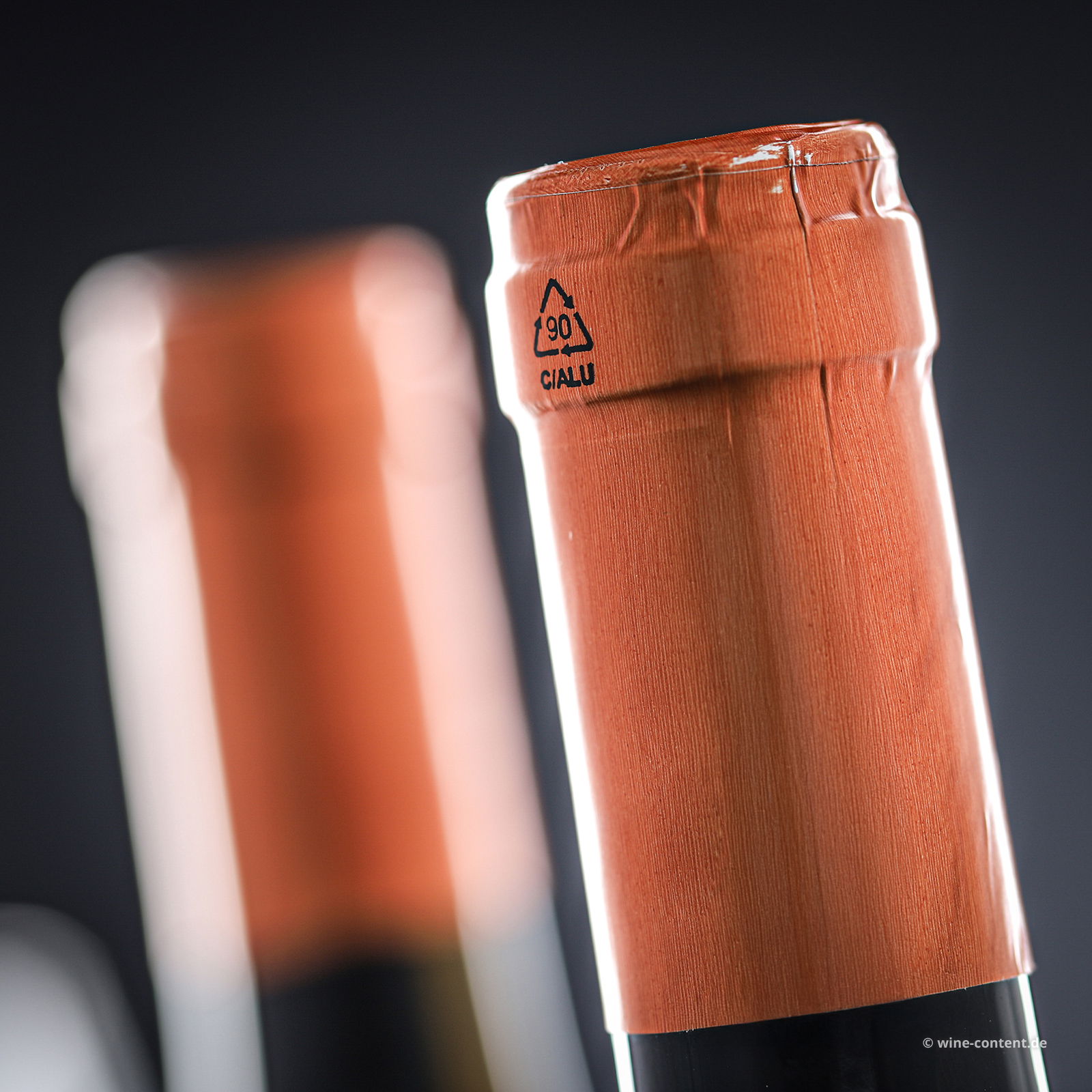 Pinot Grigio 2023 Sot Lis Rivis