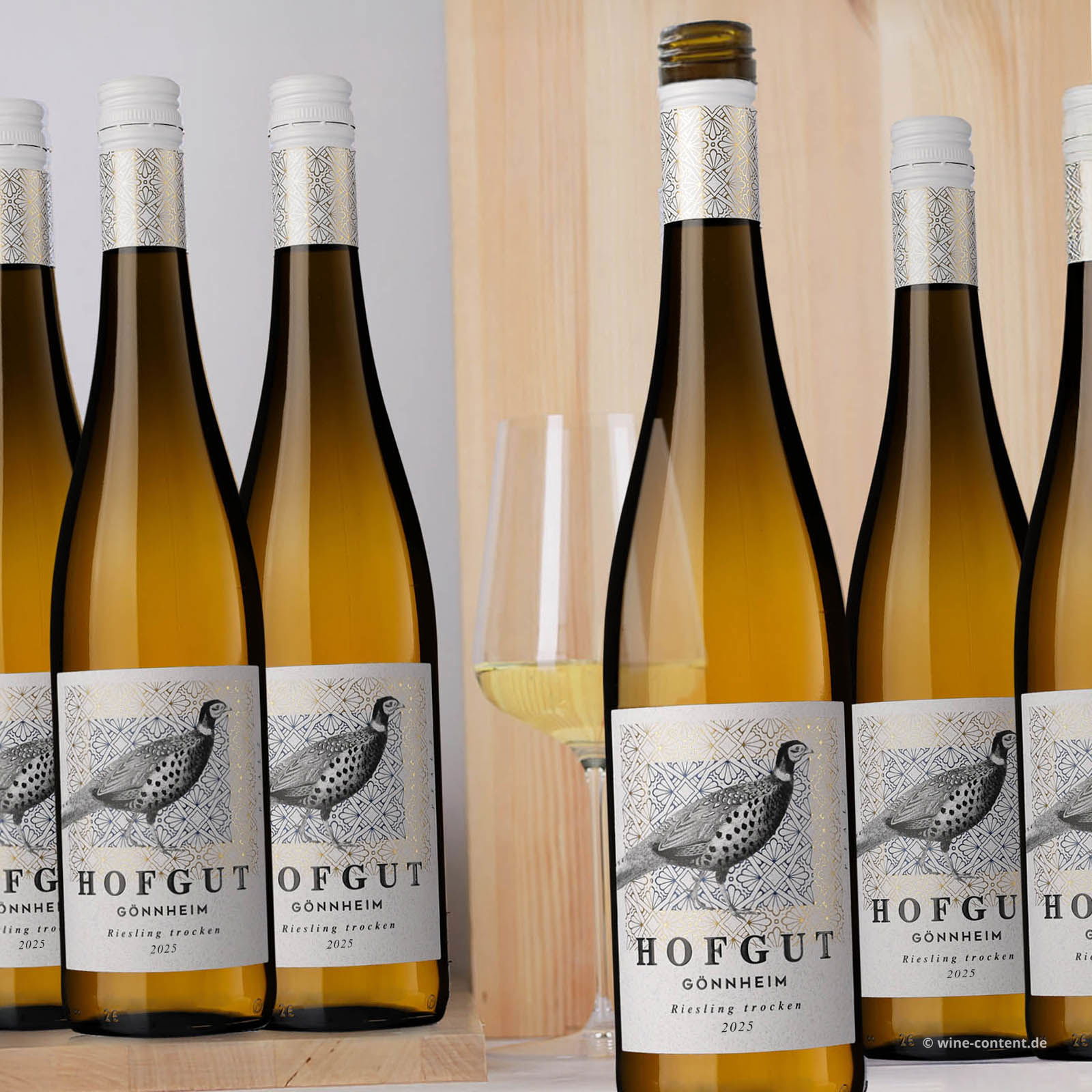 6er-Sparpaket Riesling 2025 Gönnheim Bio