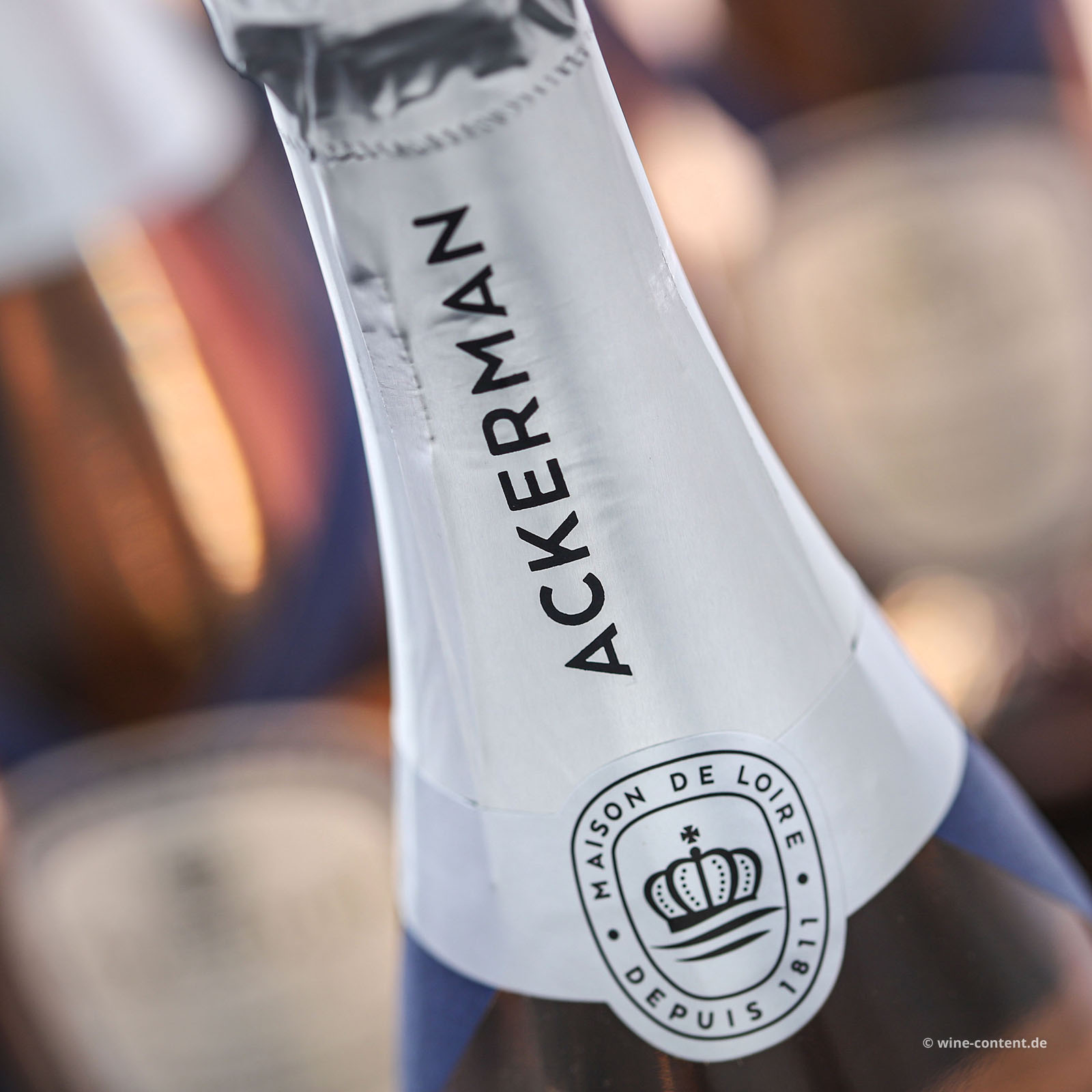 6er-Sparpaket Crémant de Loire Rosé 2024 Réserve Brut