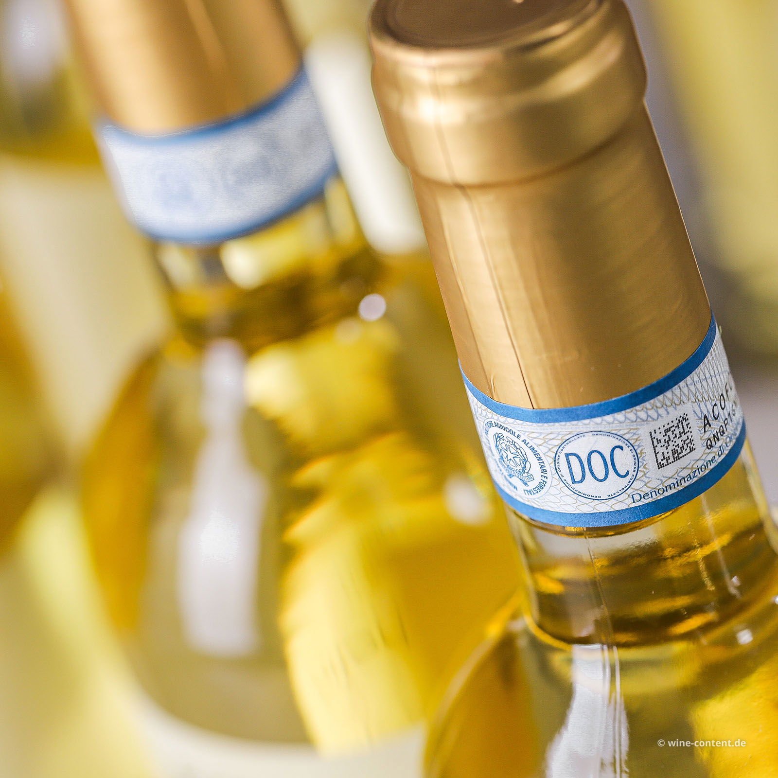 6er-Sparpaket Custoza 2025 San Michelin Bio