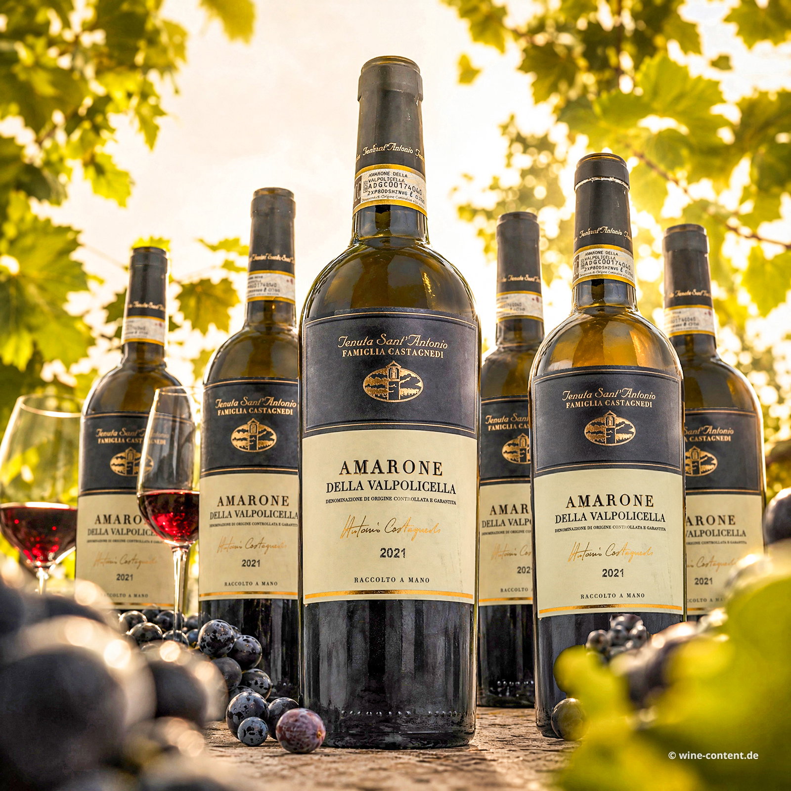 6er-Sparpaket Amarone 2021 Selezione Antonio Castagnedi