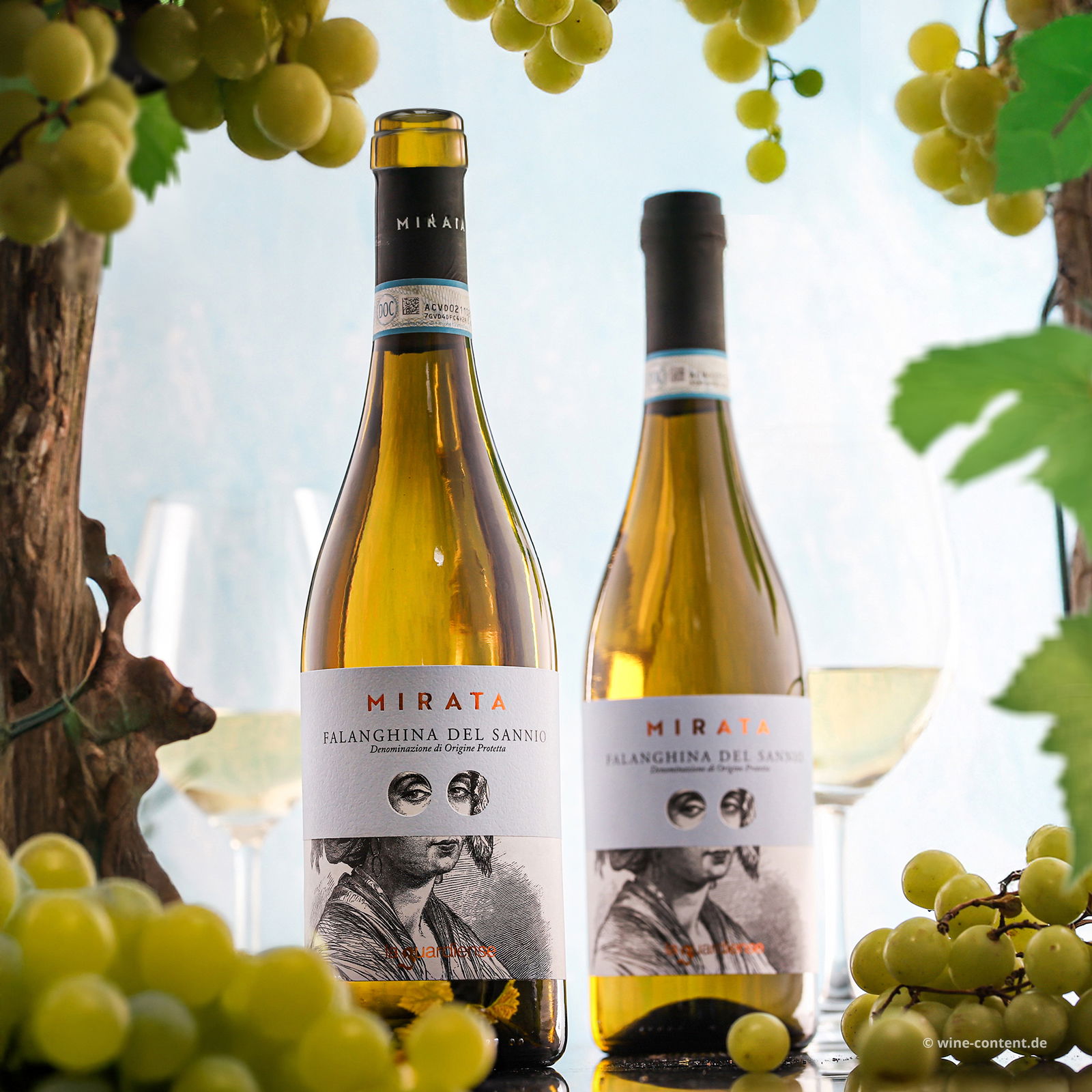 Falanghina del Sannio 2024 Mirata