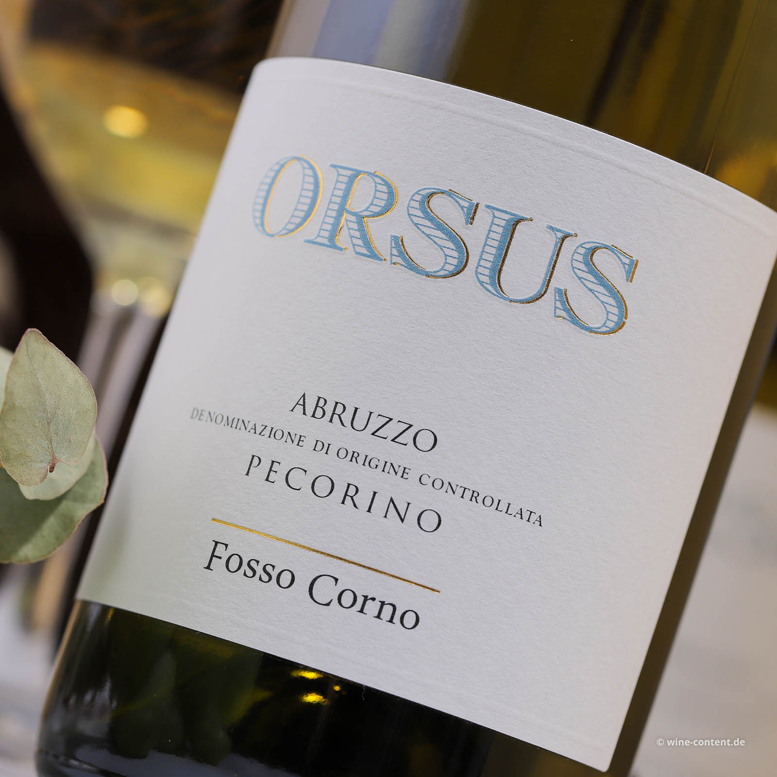 Pecorino Abruzzo 2024 Orsus