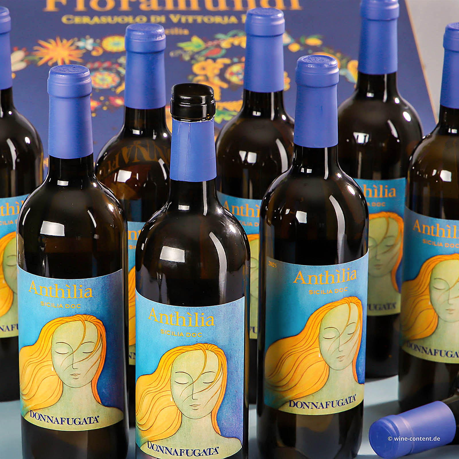 9er-Sparpaket Sicilia Bianco 2025 Anthilia