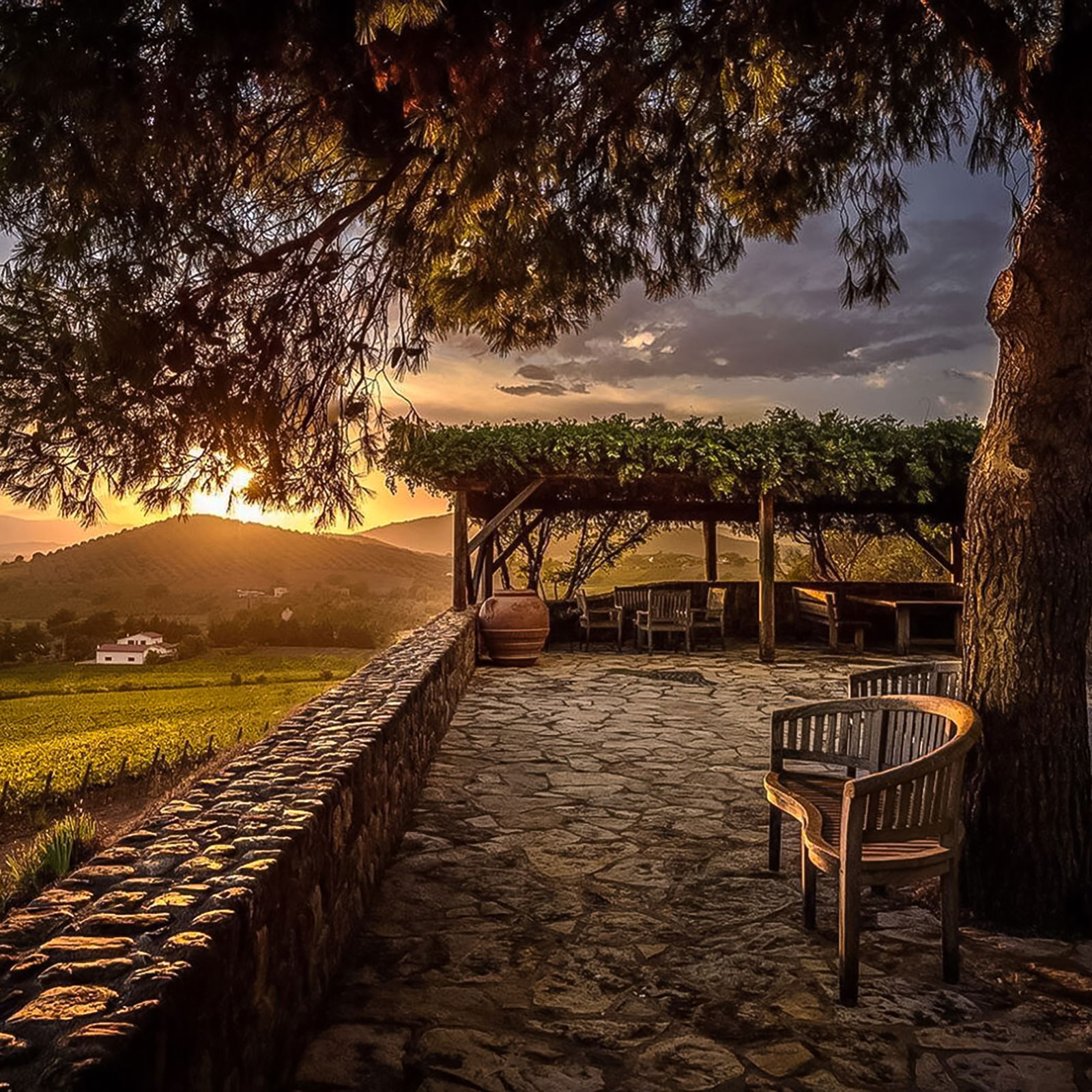 3er-Holzkiste Monteverro 2019 Bio