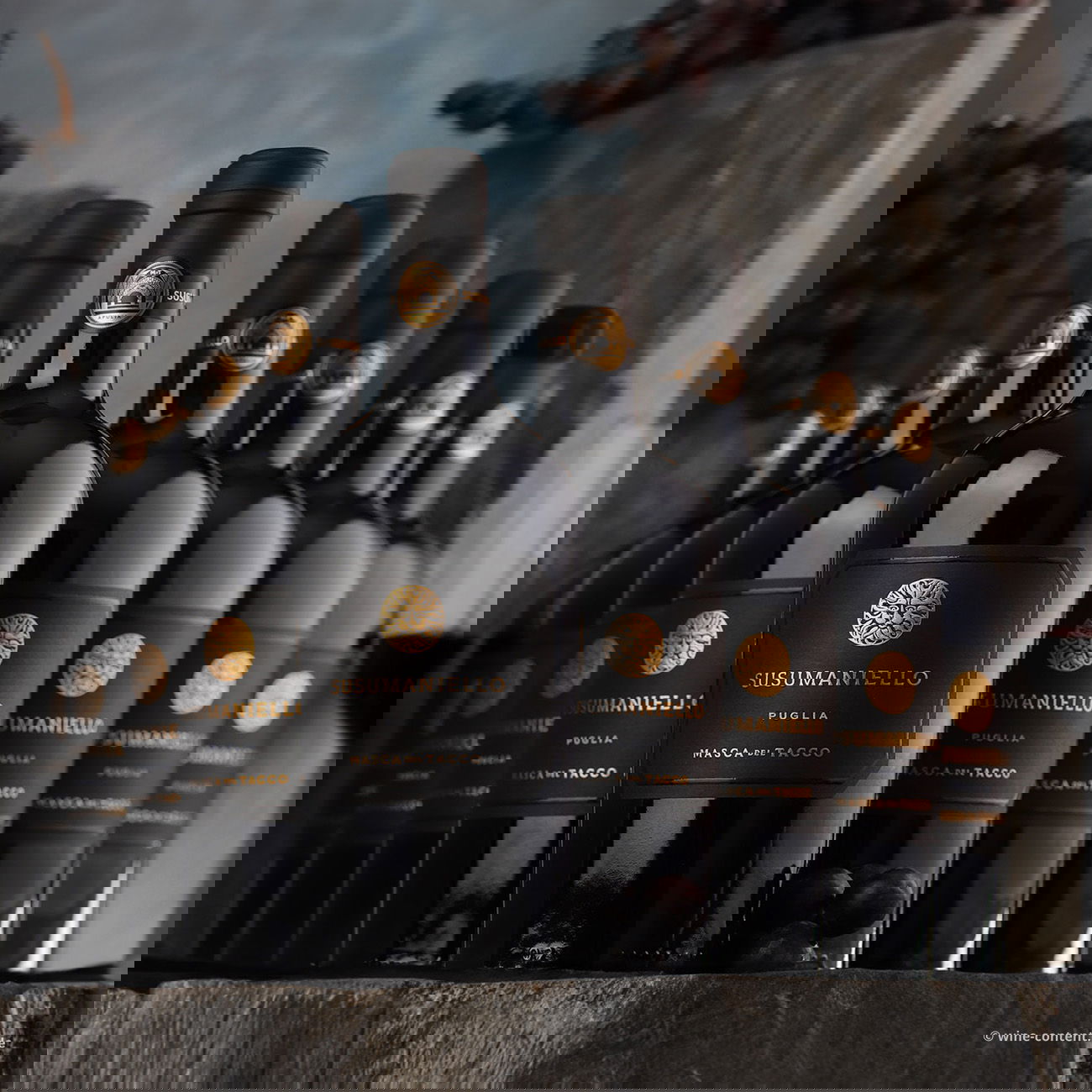 9er-Sparpaket Susumaniello 2024