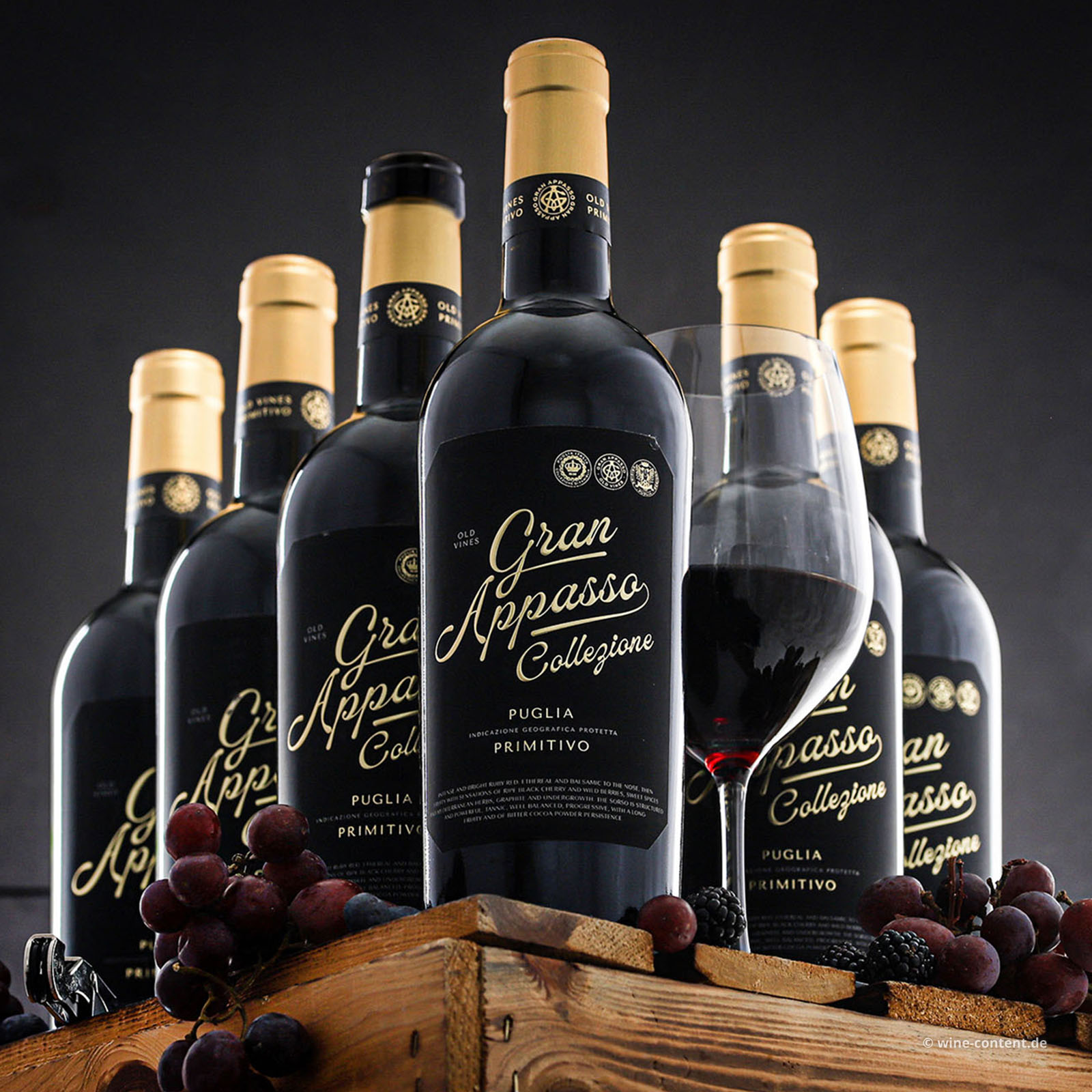 6er-Sparpaket Primitivo 2025 Gran Appasso Collezione