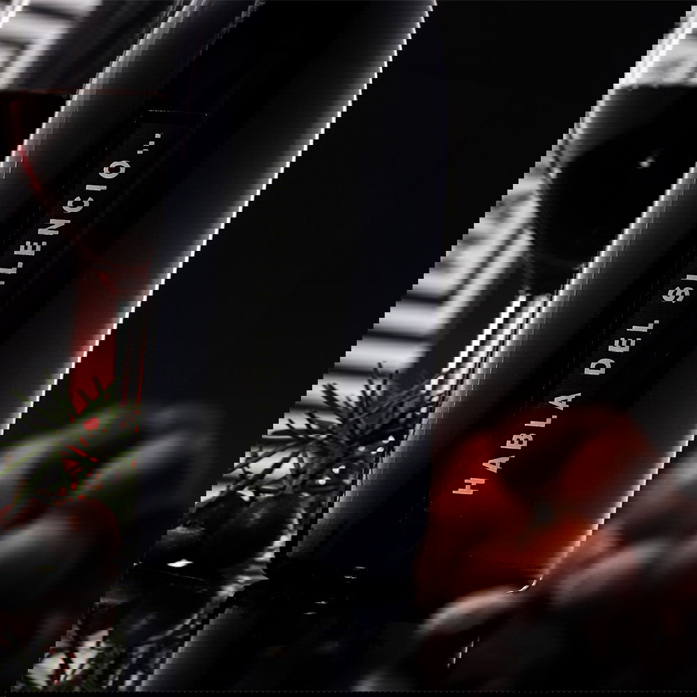 Habla del Silencio 2023