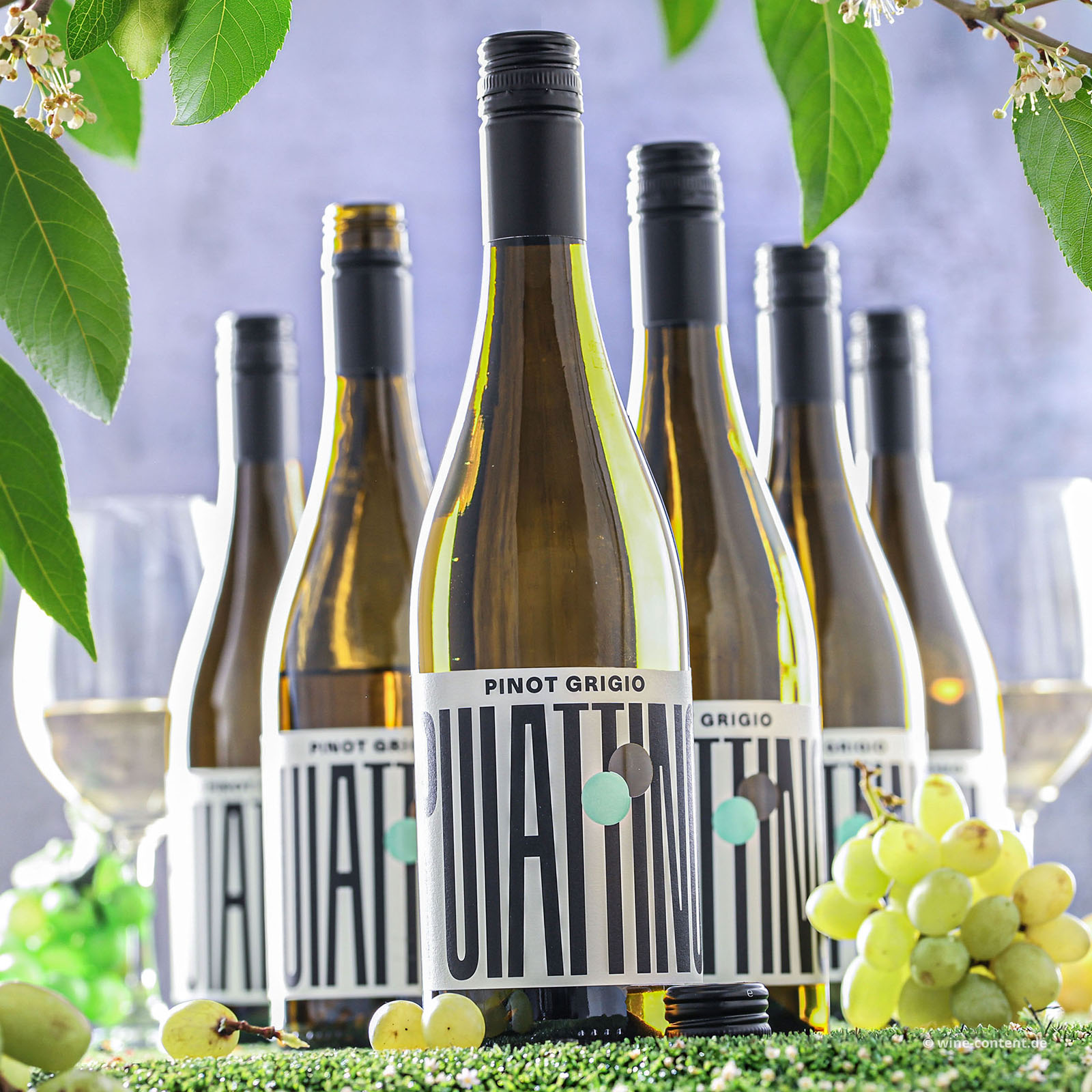 6er-Sparpaket Pinot Grigio 2025 Puiattino