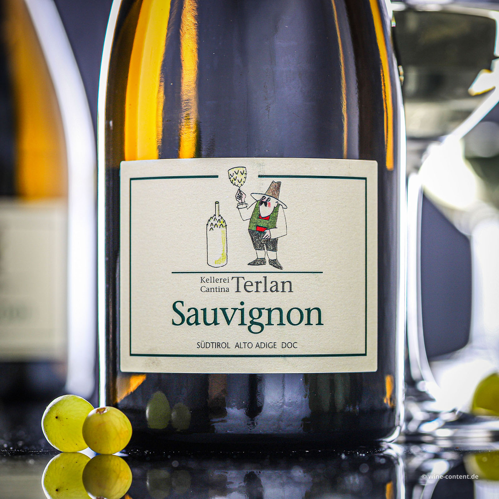 Sauvignon Blanc 2025