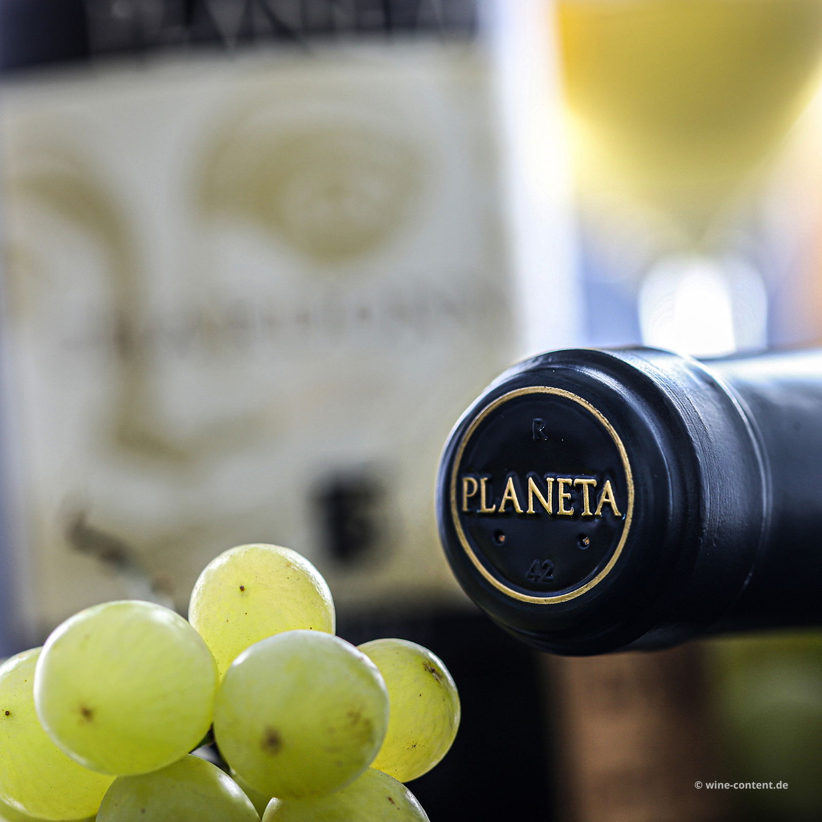 6er-Sparpaket Chardonnay Sicilia Menfi 2024 Bio Jubiläumsetikett