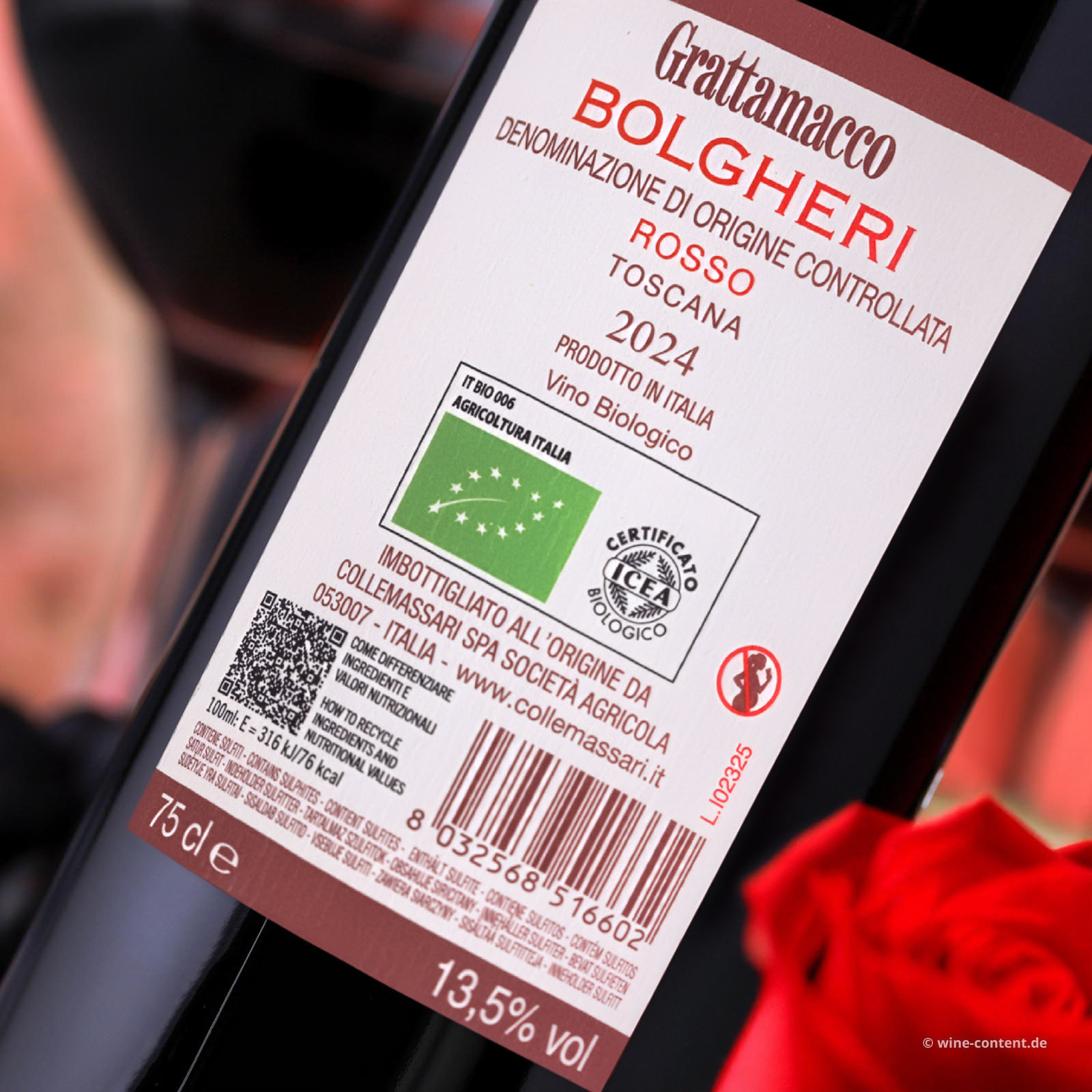 Bolgheri Rosso 2024 Bio