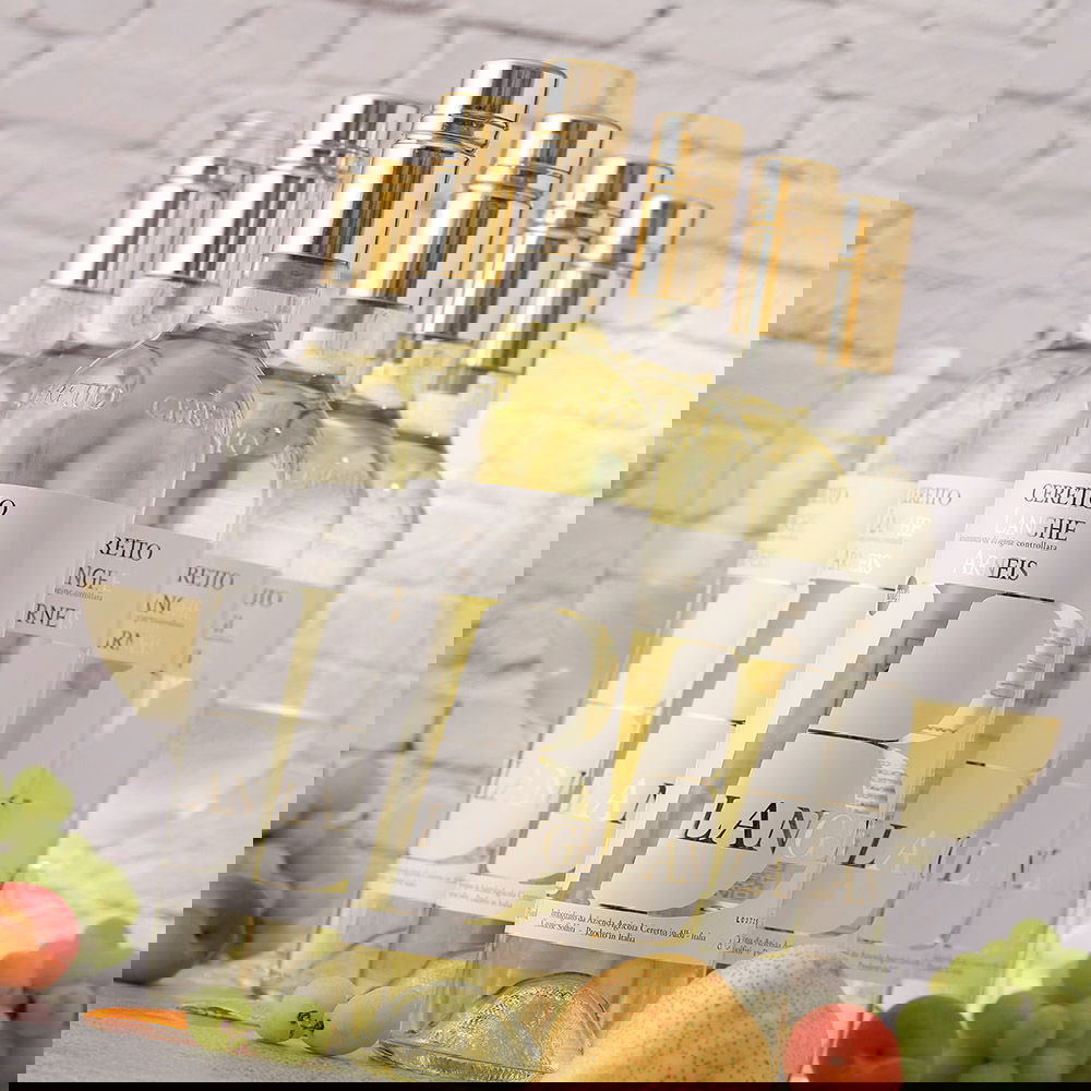 6er-Sparpaket Arneis Langhe 2025 Blangé