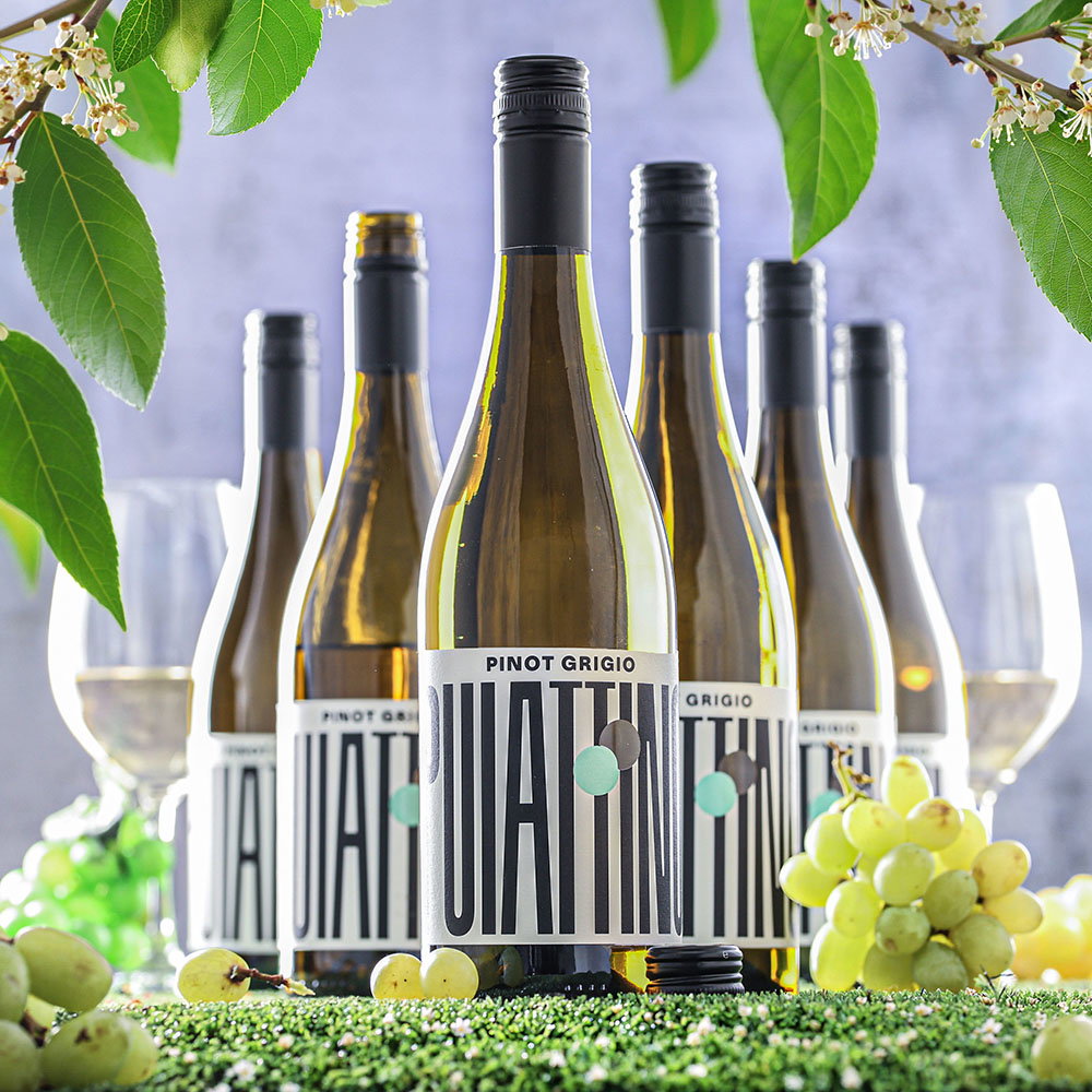 6er-Sparpaket Pinot Grigio 2025 Puiattino
